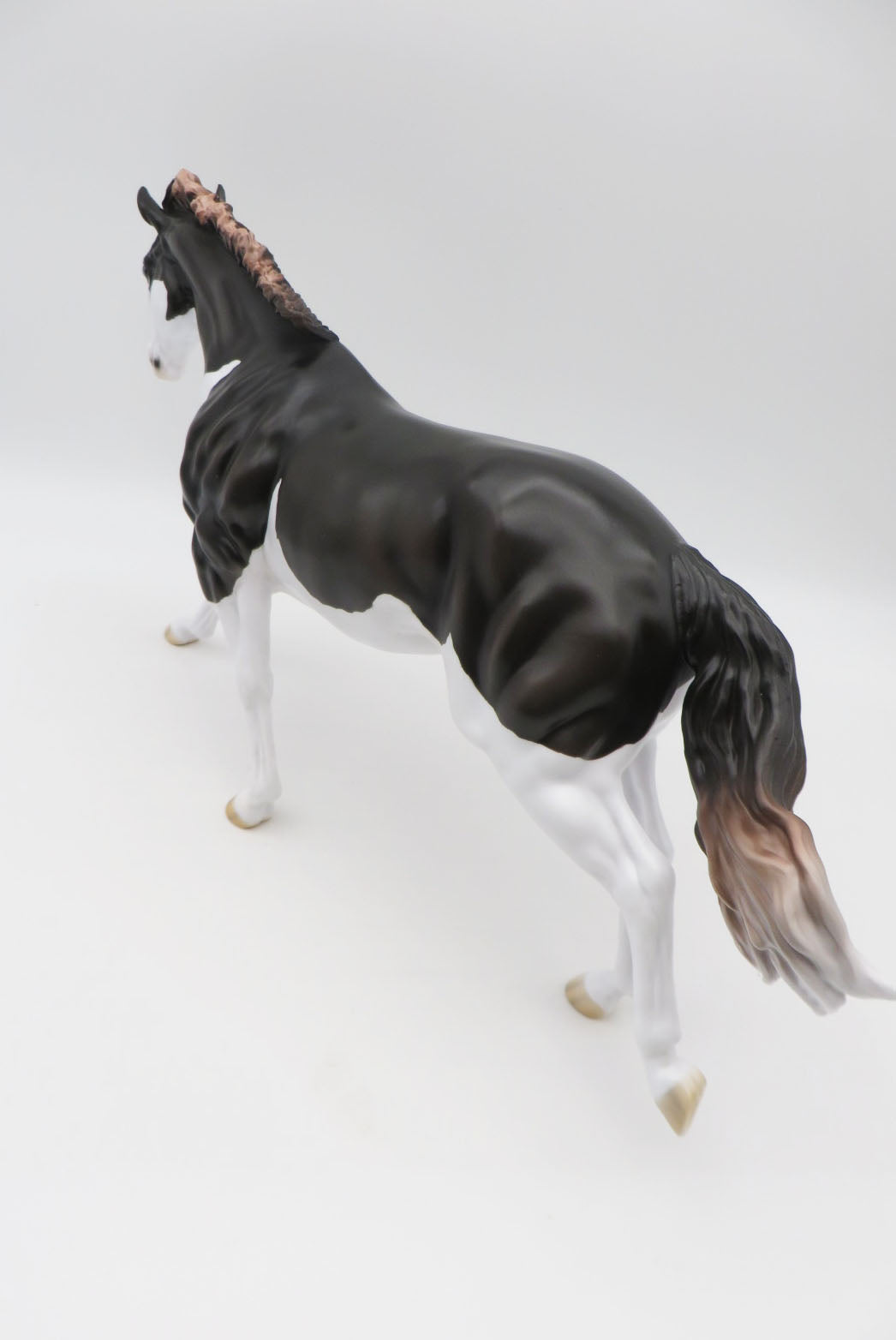 Diesel-LE-15 Running Stock Horse Husky-By Jess Hamill P&amp;C 23