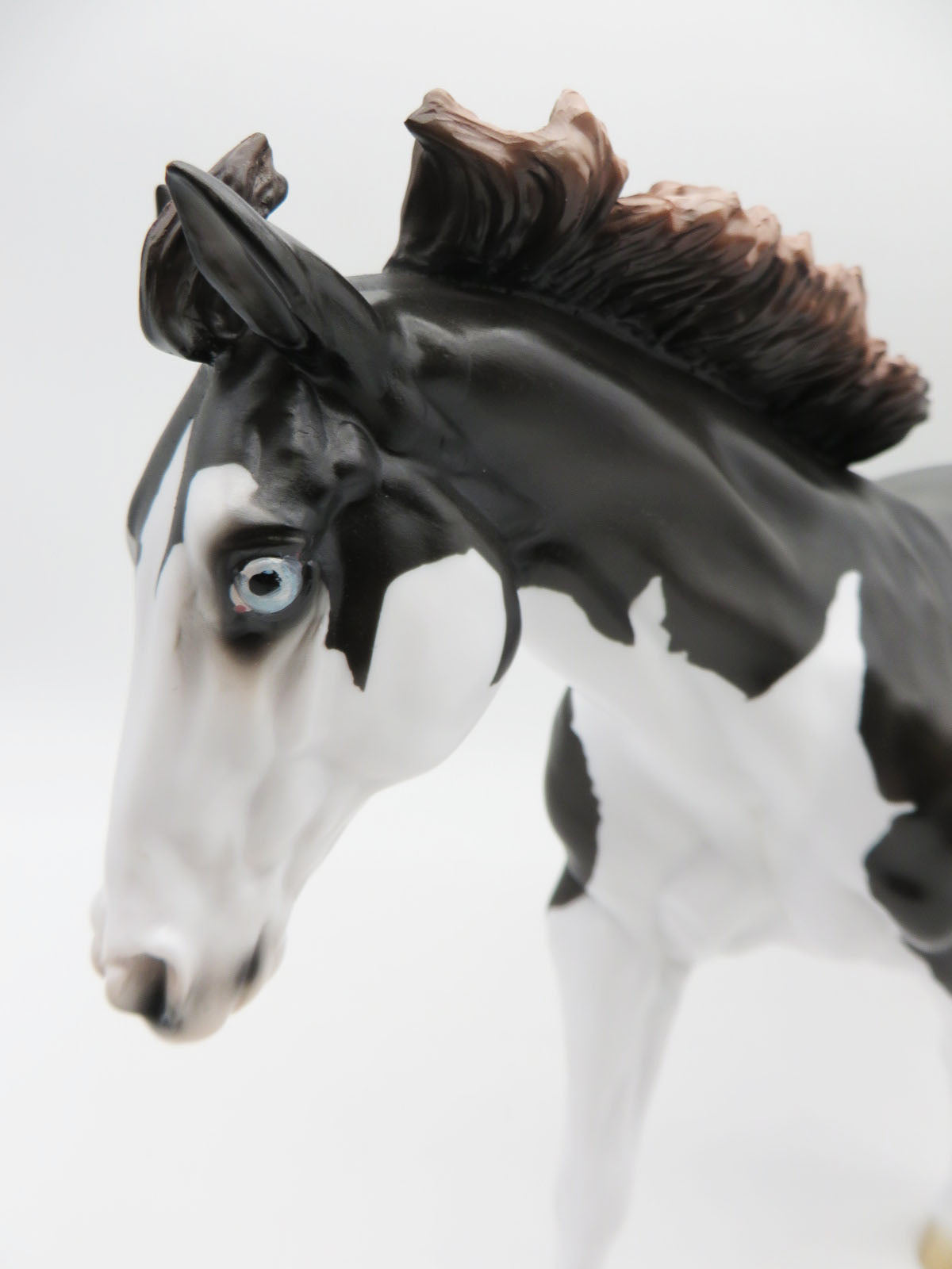 Diesel-LE-15 Running Stock Horse Husky-By Jess Hamill P&amp;C 23