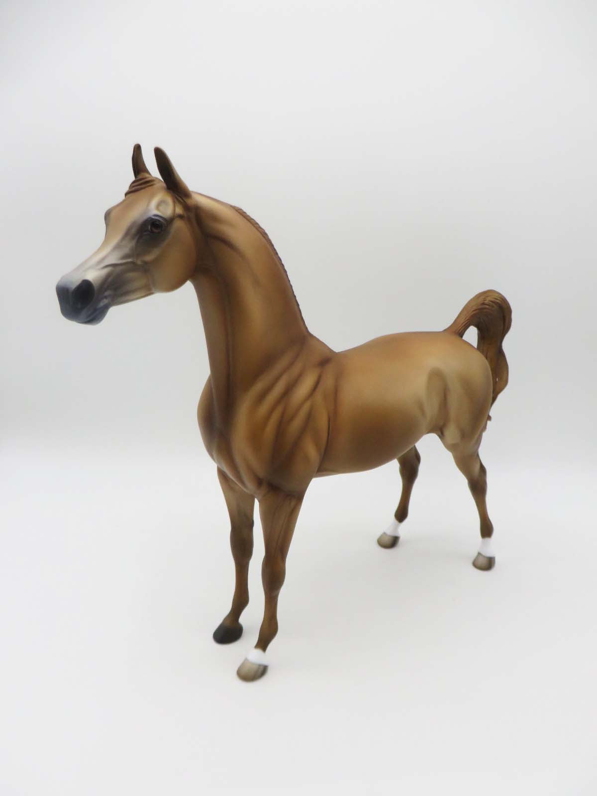 DIGGER-OOAK Chestnut Arabian By Jess Hamill P&amp;C 23