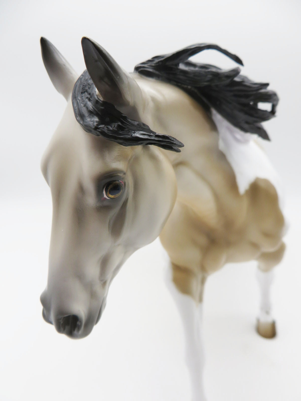 Ding Dong Ditch - OOAK - BEST OFFER - Custom Buckskin Remington Painted By Jess Hamill  - MM22