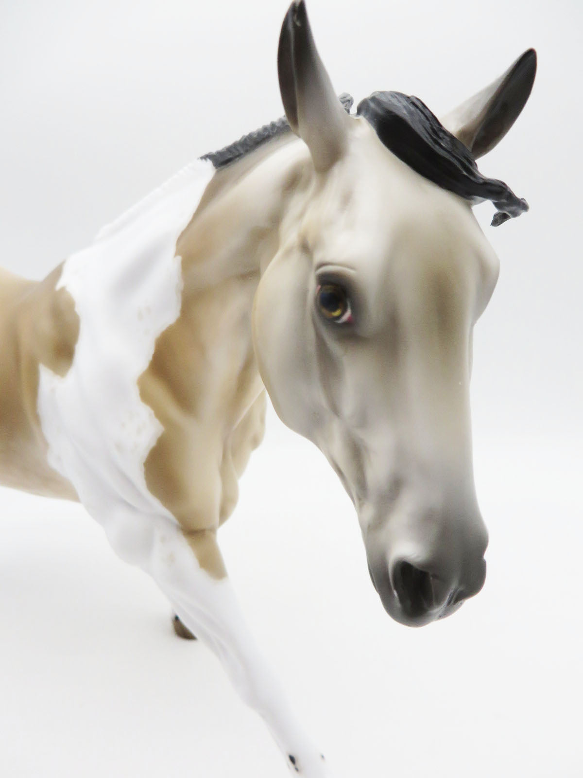 Ding Dong Ditch - OOAK - BEST OFFER - Custom Buckskin Remington Painted By Jess Hamill  - MM22