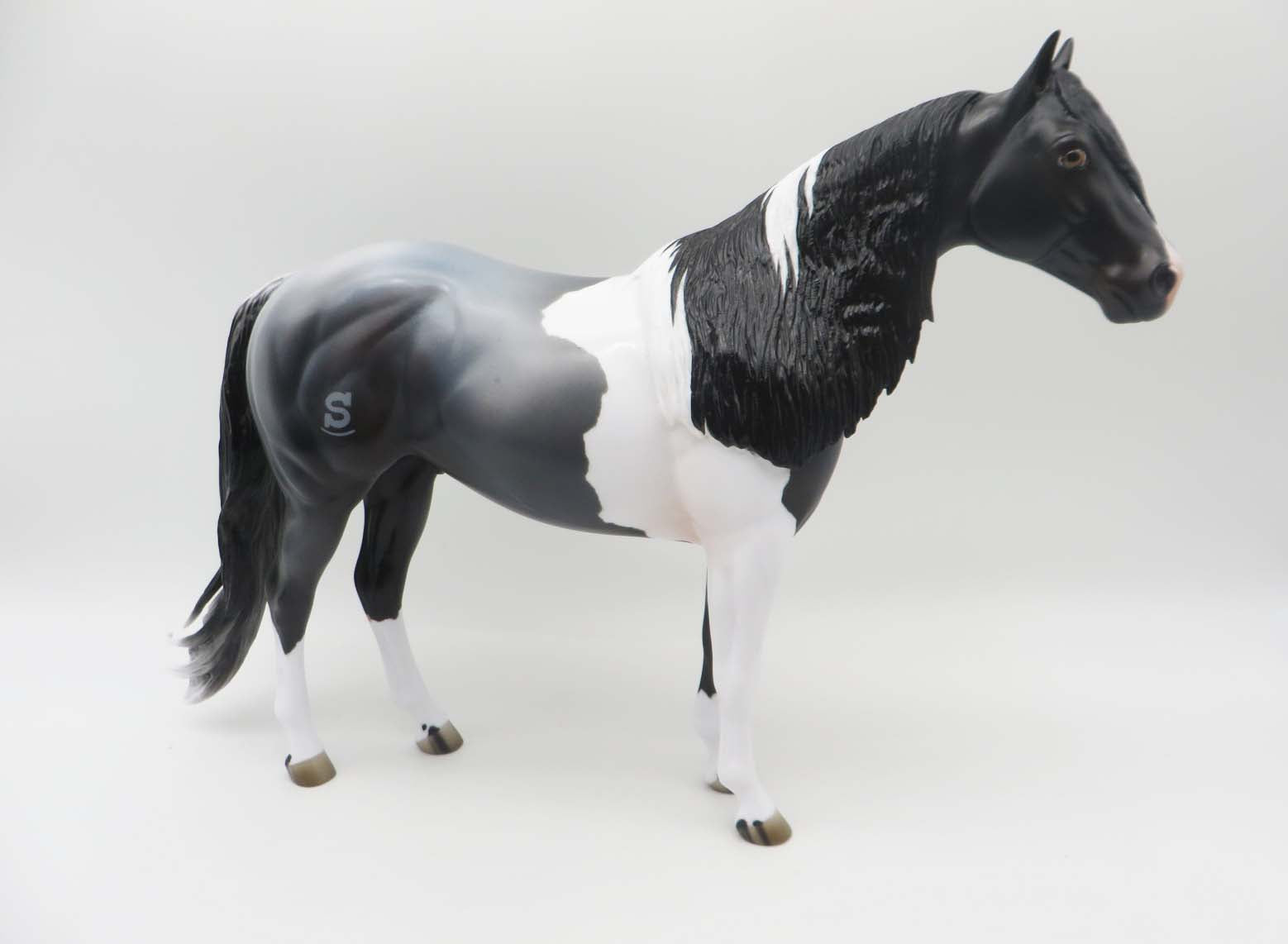 Sidewinder  LE 14 Dinner Model SHCF - Blue Roan Tobiano Custom Ideal Stock Horse By Jess Hamill - SHCF23