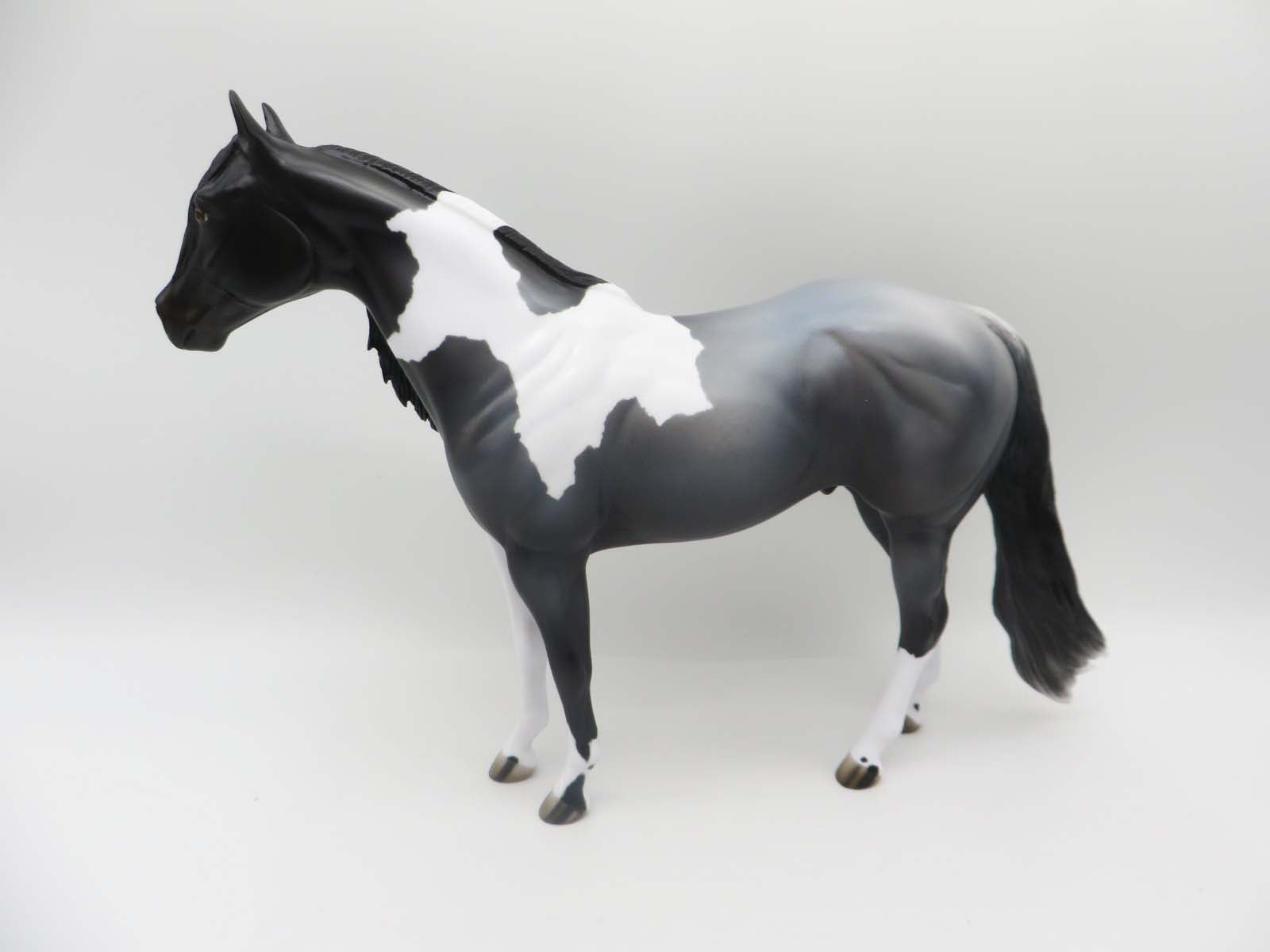 Sidewinder  LE 14 Dinner Model SHCF - Blue Roan Tobiano Custom Ideal Stock Horse By Jess Hamill - SHCF23