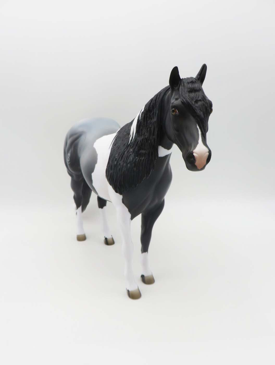 Sidewinder  LE 14 Dinner Model SHCF - Blue Roan Tobiano Custom Ideal Stock Horse By Jess Hamill - SHCF23