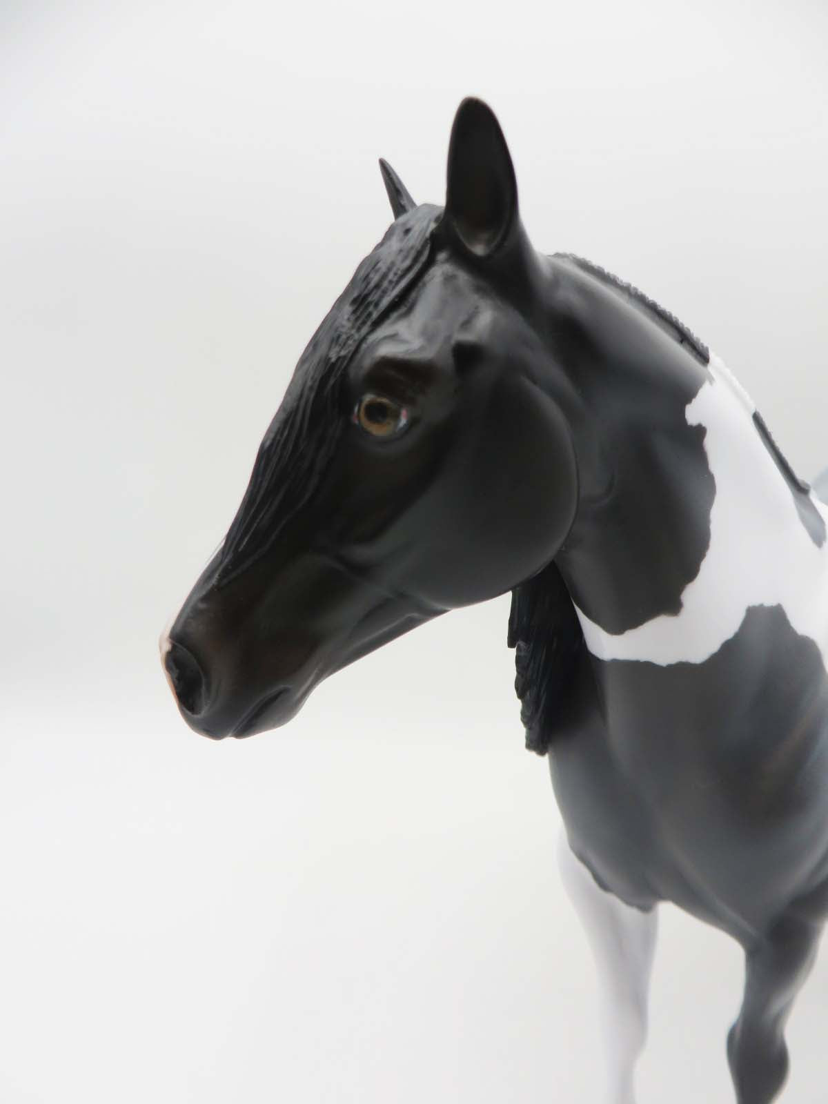 SAMPLE of Sidewinder  LE 14 Dinner Model SHCF - Blue Roan Tobiano Custom Ideal Stock Horse By Jess Hamill - SHCF23