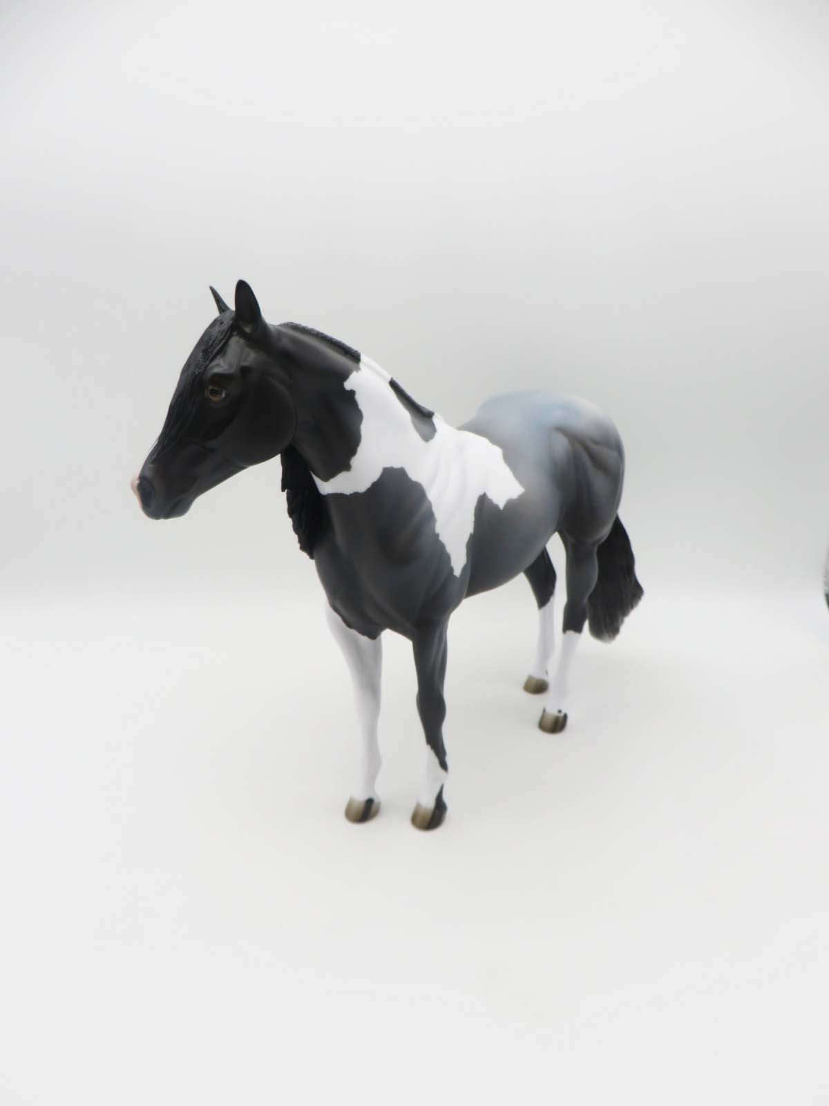 SAMPLE of Sidewinder  LE 14 Dinner Model SHCF - Blue Roan Tobiano Custom Ideal Stock Horse By Jess Hamill - SHCF23