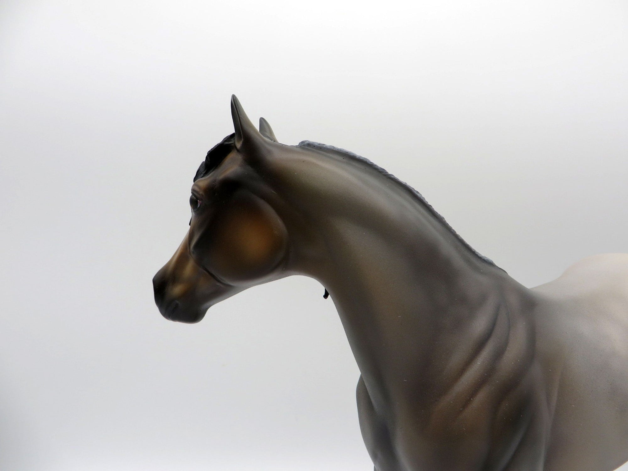 Dipali-OOAK Buckskin Roan ISH  Painted By Julie Keim EQ 21