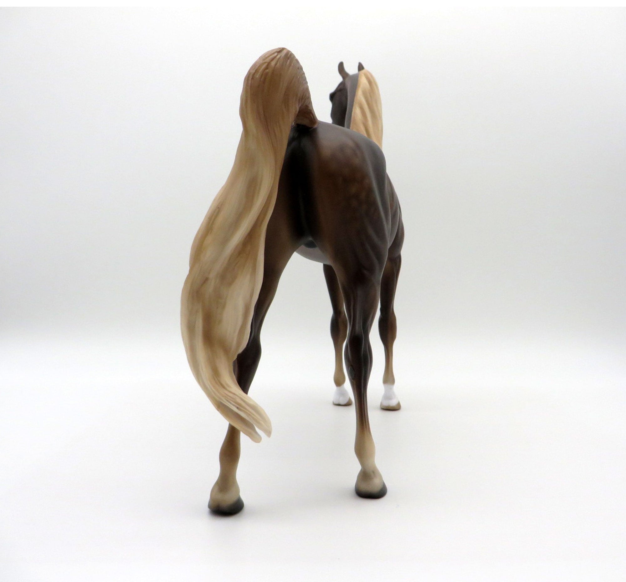 Disk O-dappled bay arabian by Sheryl Leisure