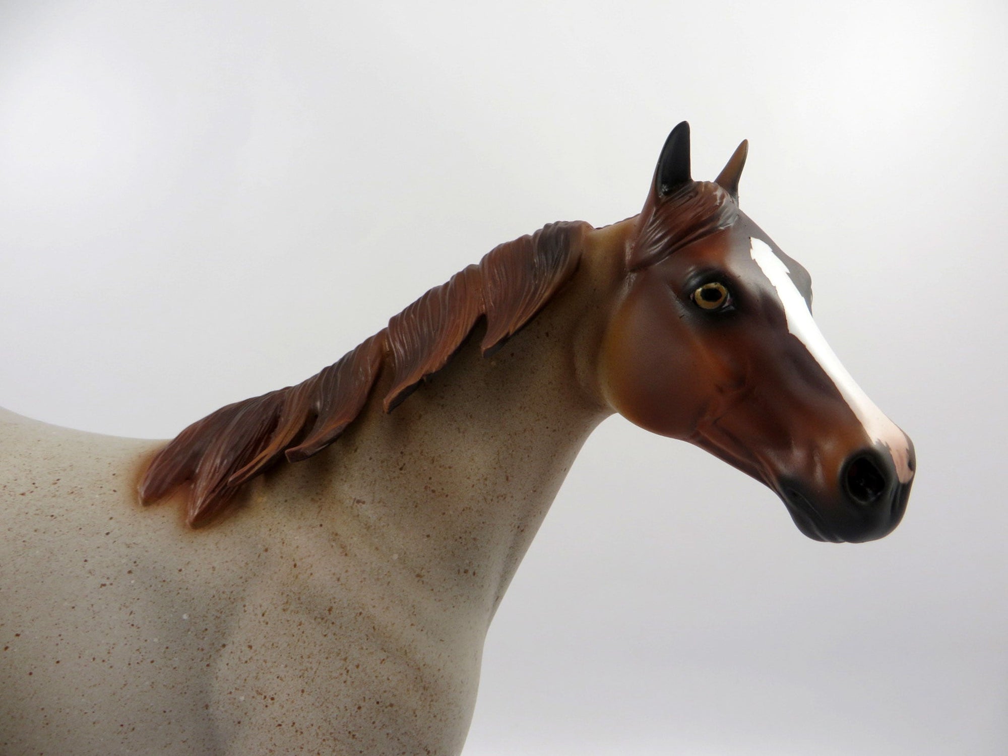 DOC STAR-LE-15 RANCH HORSE RED ROAN ISH