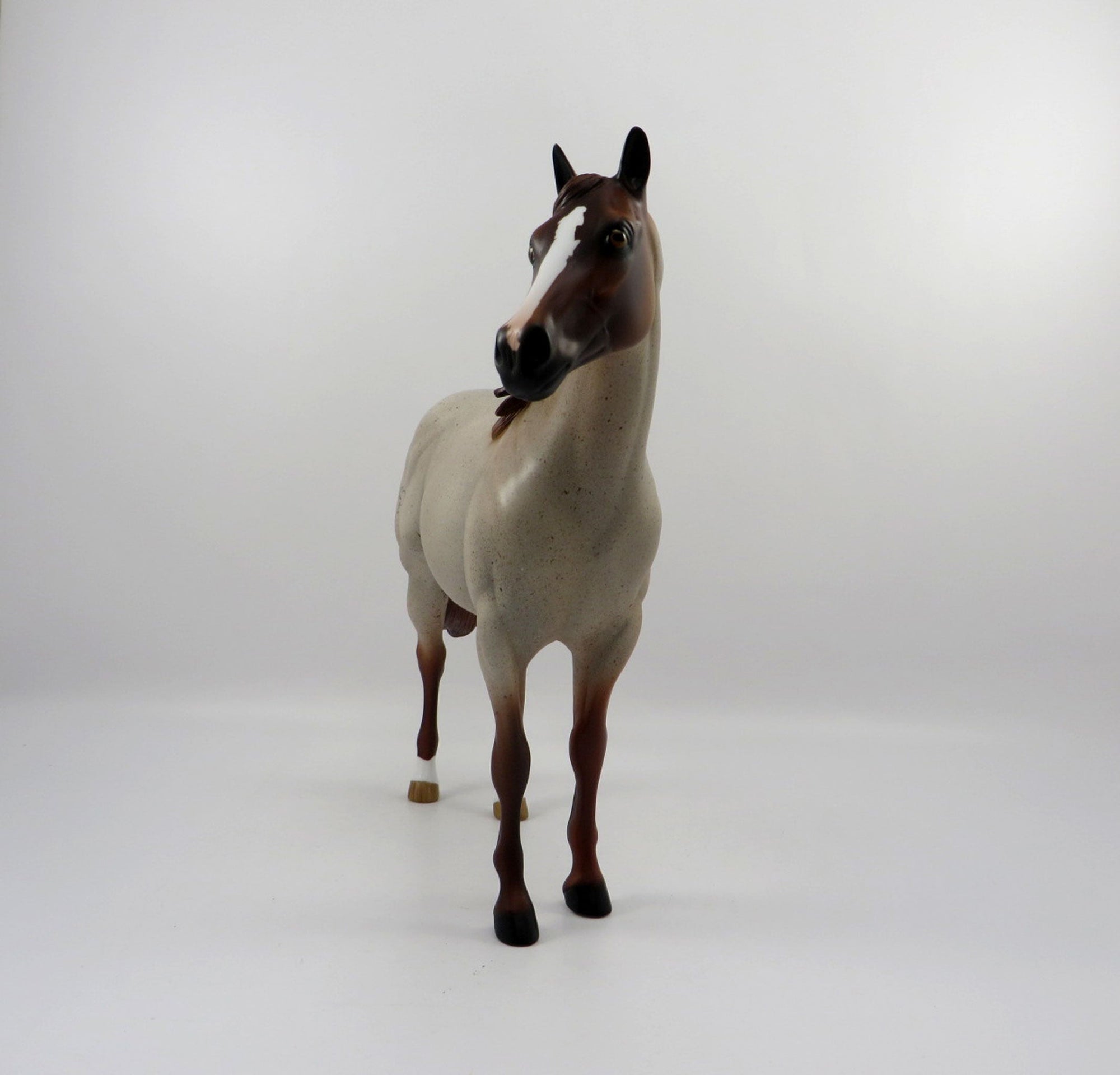 DOC STAR-LE-15 RANCH HORSE RED ROAN ISH