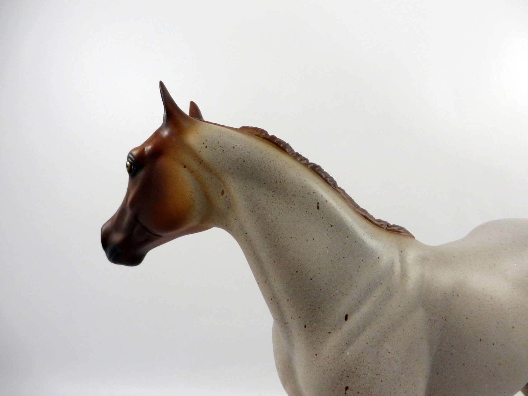 DOC STAR-LE-15 RANCH HORSE RED ROAN ISH