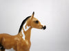 Dolly-OOAK Arabian Foal Buckskin Paint by Ellen 1/29/21