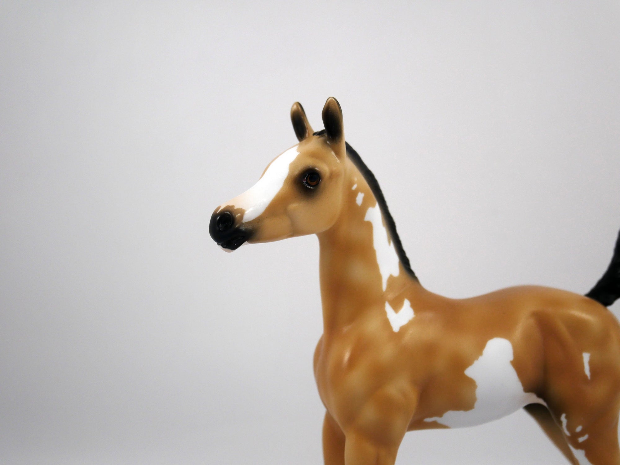 Dolly-OOAK Arabian Foal Buckskin Paint by Ellen 1/29/21