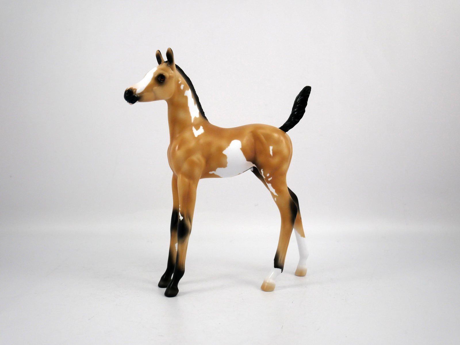Dolly-OOAK Arabian Foal Buckskin Paint by Ellen 1/29/21