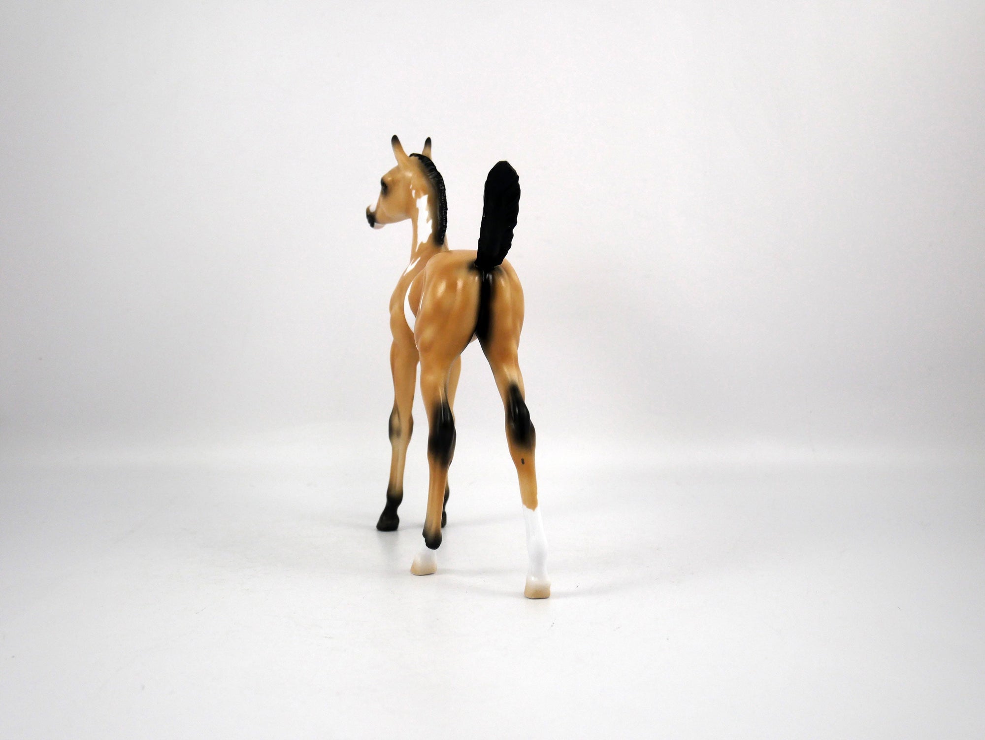 Dolly-OOAK Arabian Foal Buckskin Paint by Ellen 1/29/21