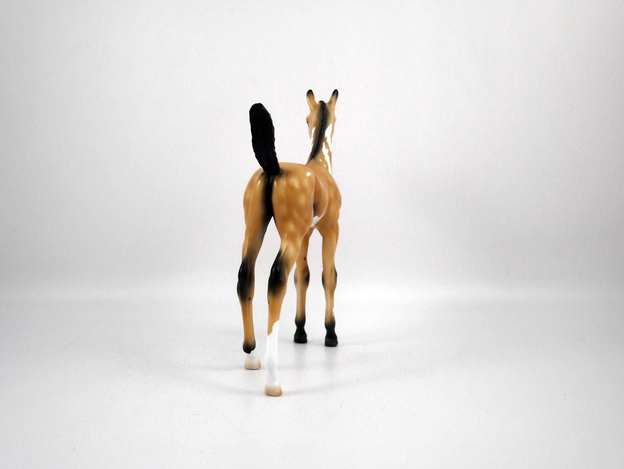 Dolly-OOAK Arabian Foal Buckskin Paint by Ellen 1/29/21