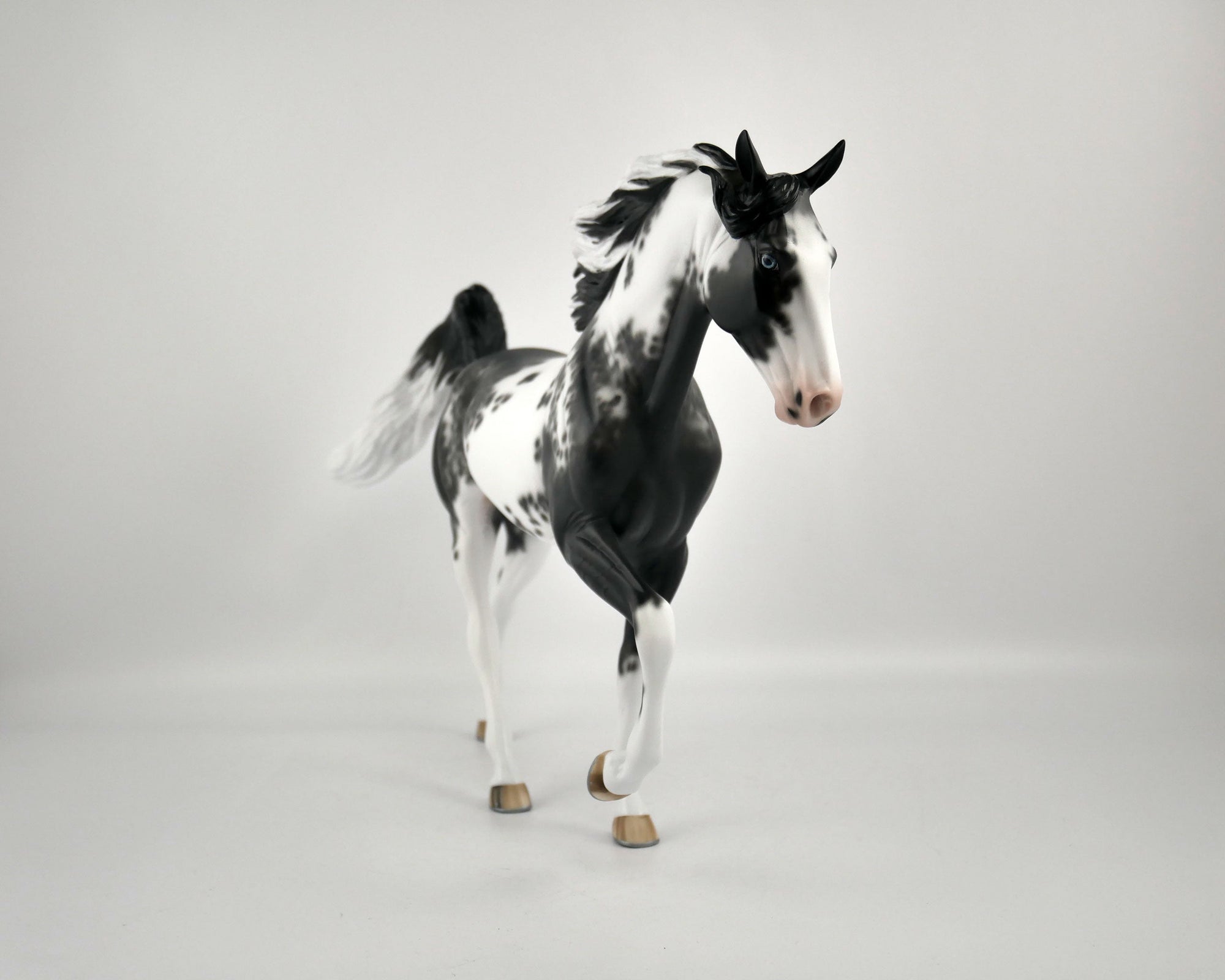 DOMINIC-OOAK BLACK SABINO TWH BY SHERYL LEISURE 11/24/20