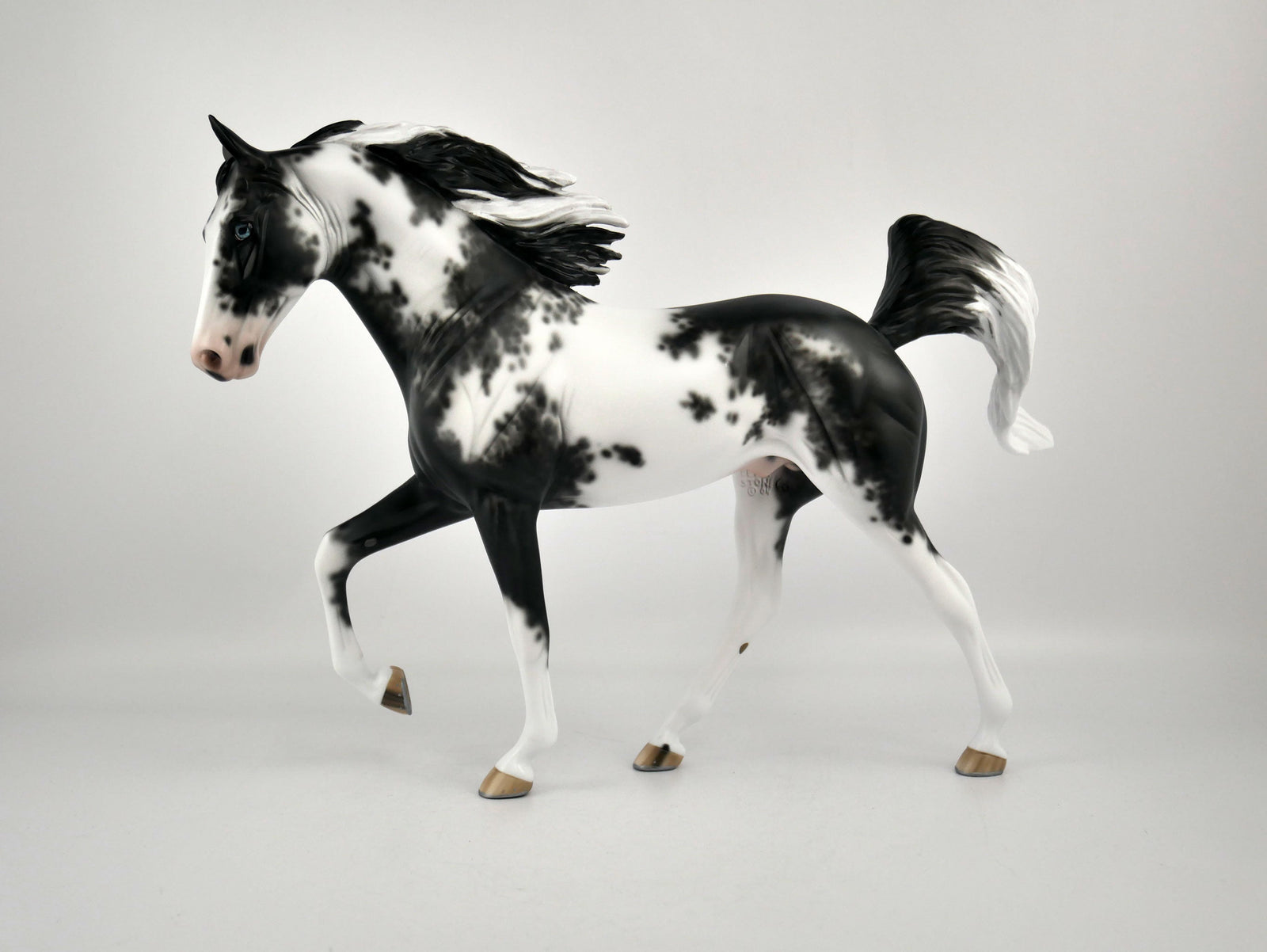 DOMINIC-OOAK BLACK SABINO TWH BY SHERYL LEISURE 11/24/20