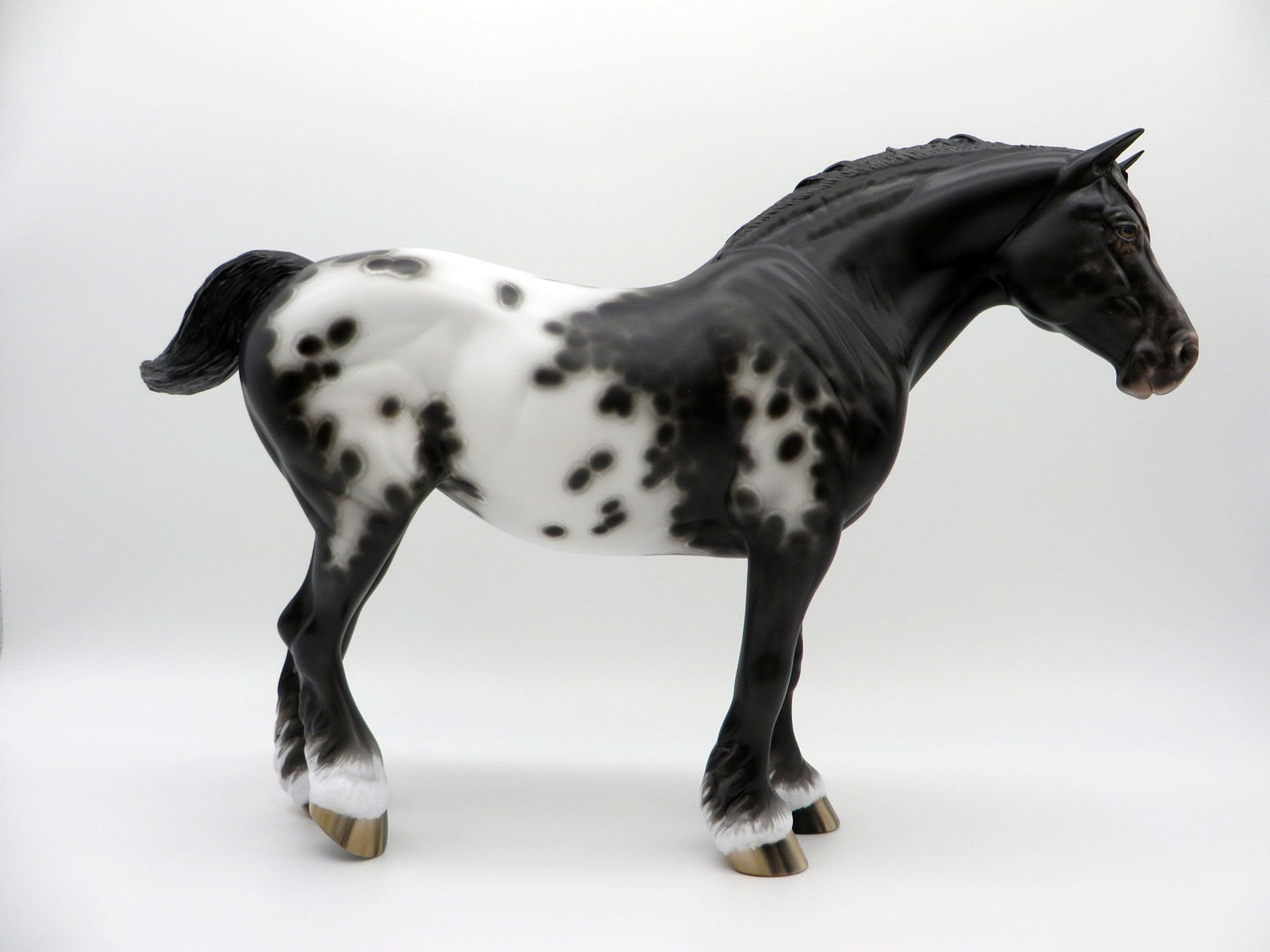 Dominque-OOAK Black Appaloosa Heavy Draft Mare 3/29/21