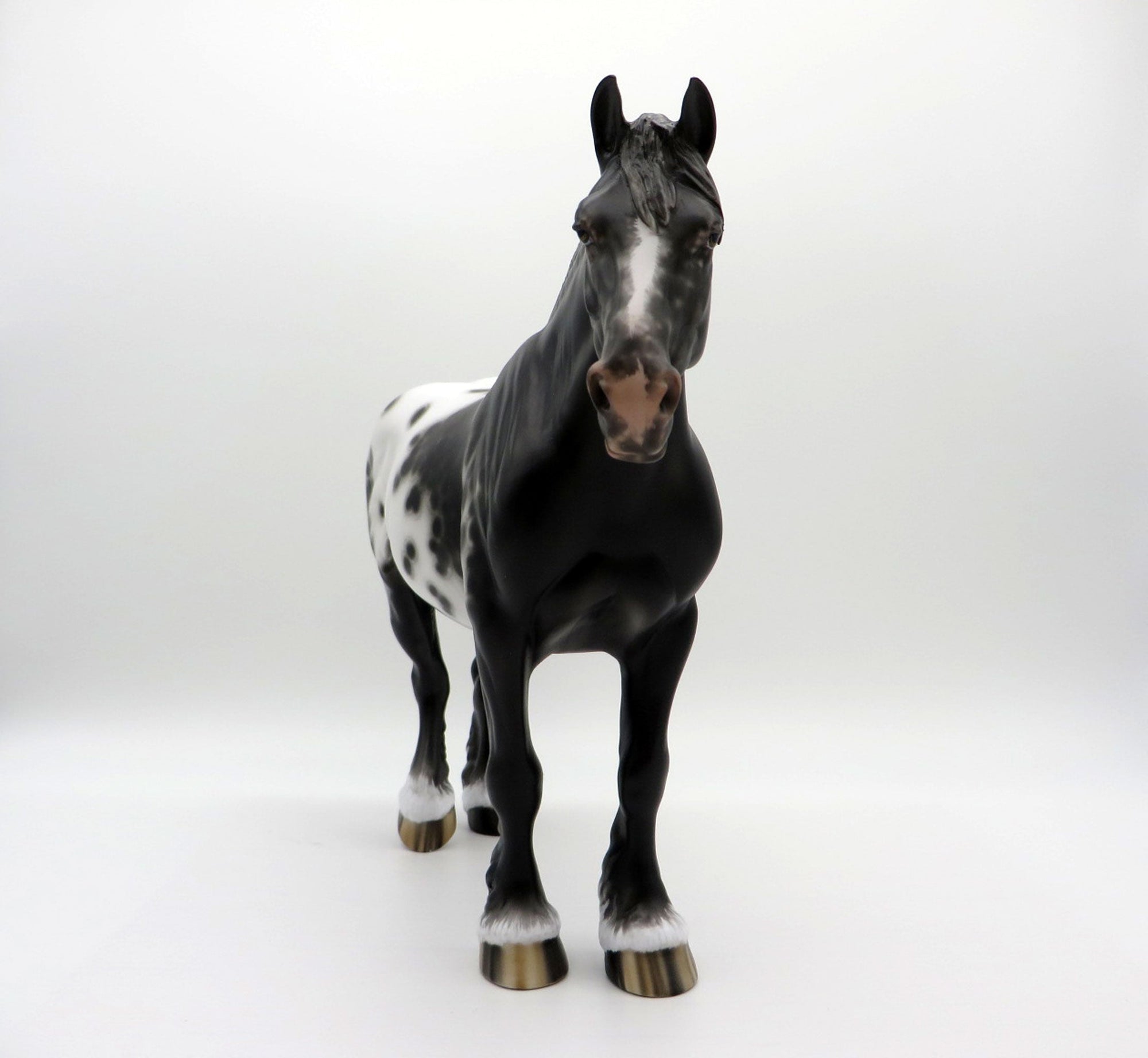 Dominque-OOAK Black Appaloosa Heavy Draft Mare 3/29/21