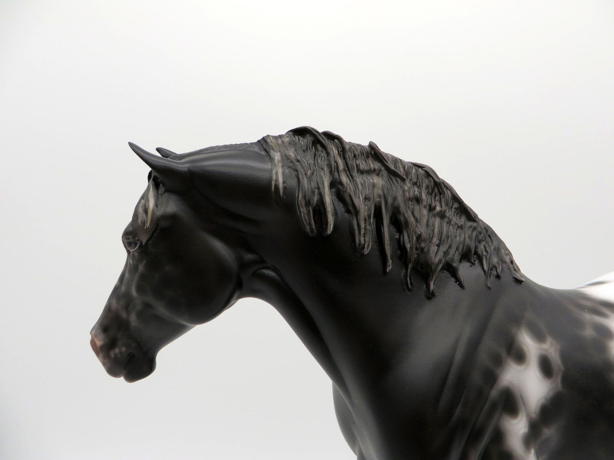 Dominque-OOAK Black Appaloosa Heavy Draft Mare 3/29/21