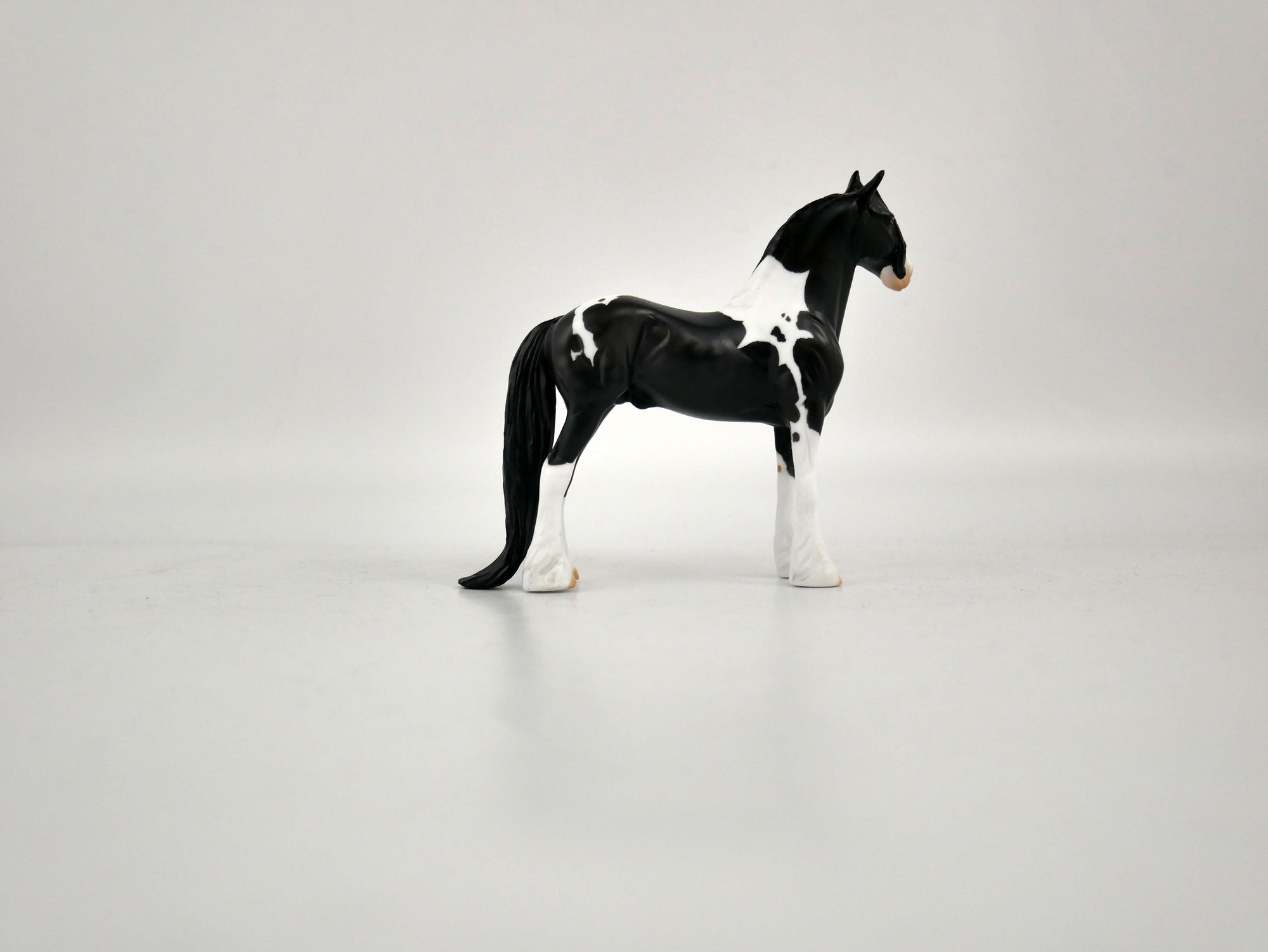 What is inside the Box&gt; Domino 12/20