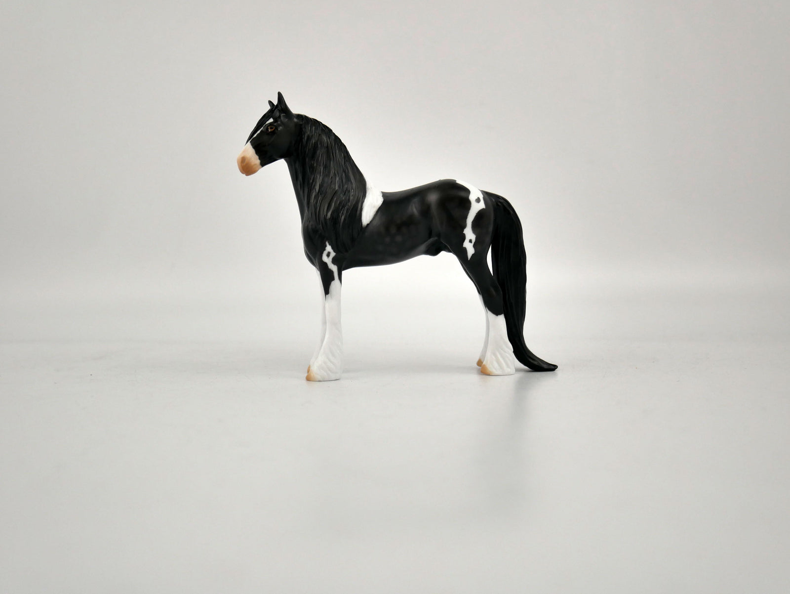 What is inside the Box> Domino 12/20