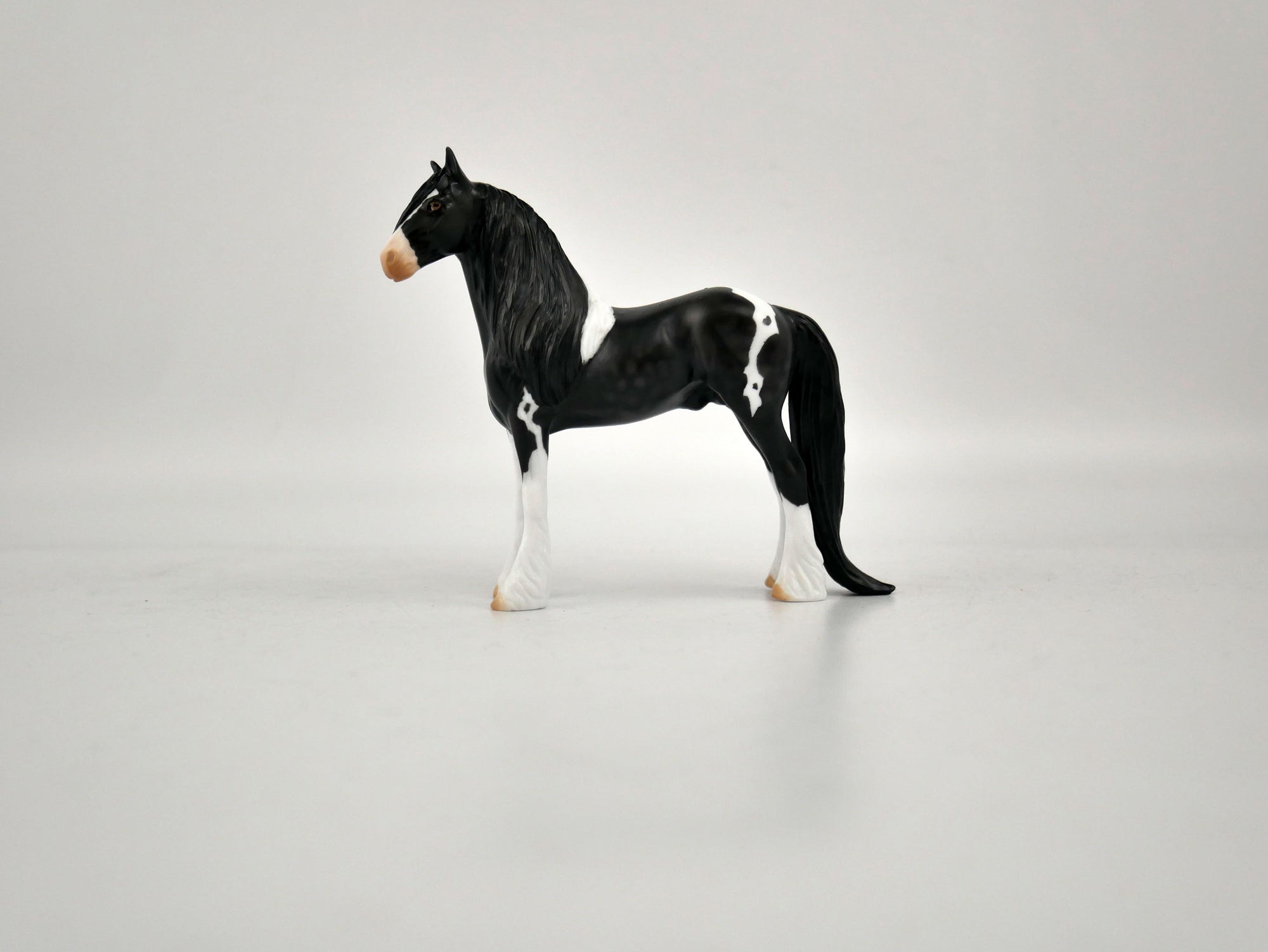 What is inside the Box> Domino 12/20