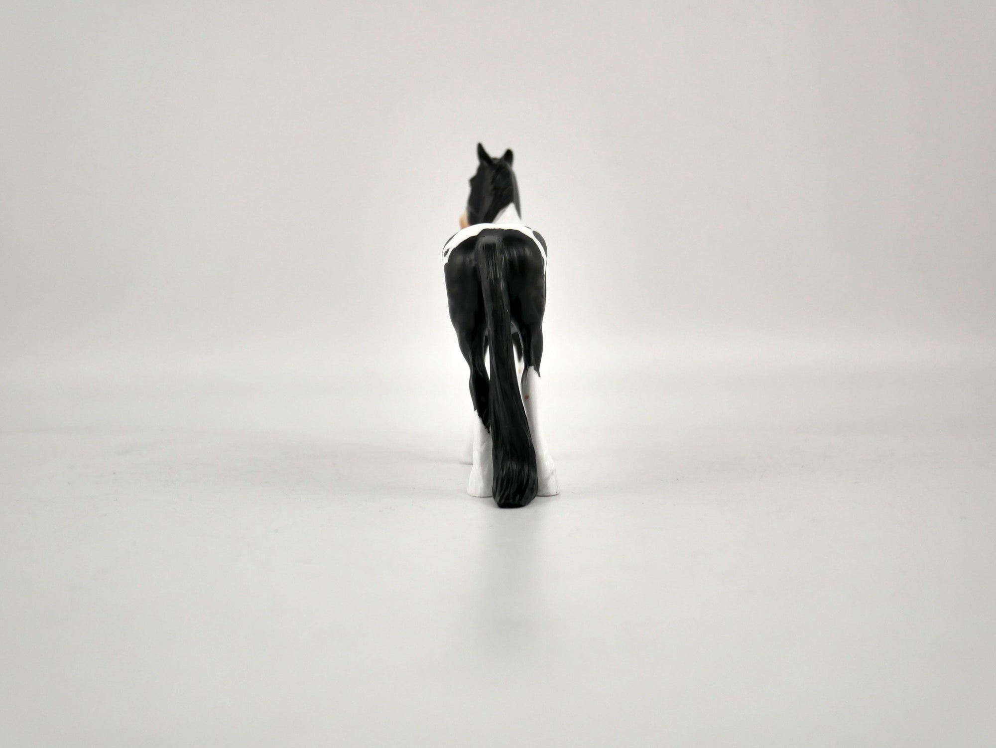 What is inside the Box&gt; Domino 12/20