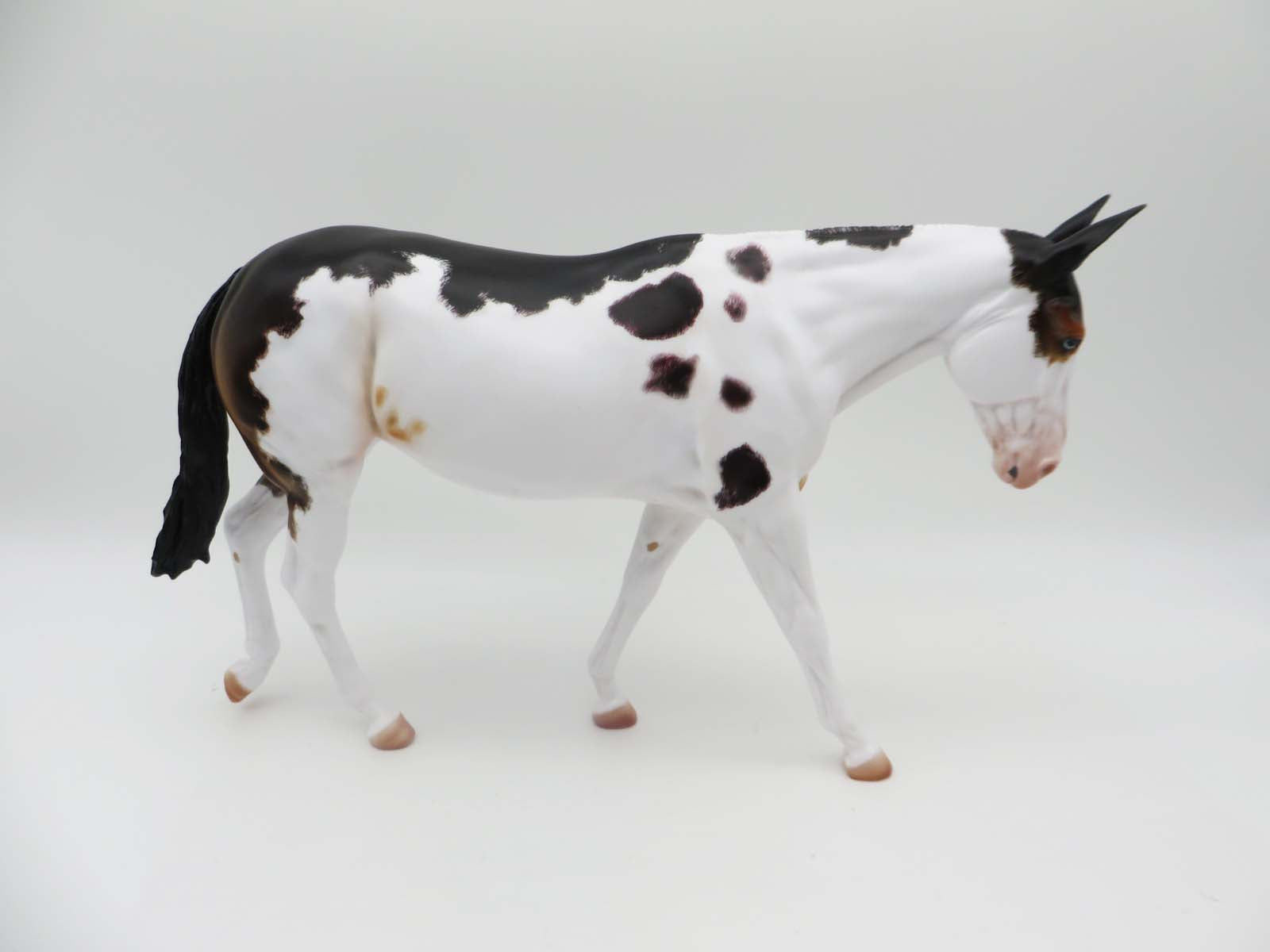 Dottie - OOAK - Spotted Mule by Julie Keim - P&C 23