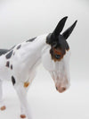 Dottie - OOAK - Spotted Mule by Julie Keim - P&amp;C 23