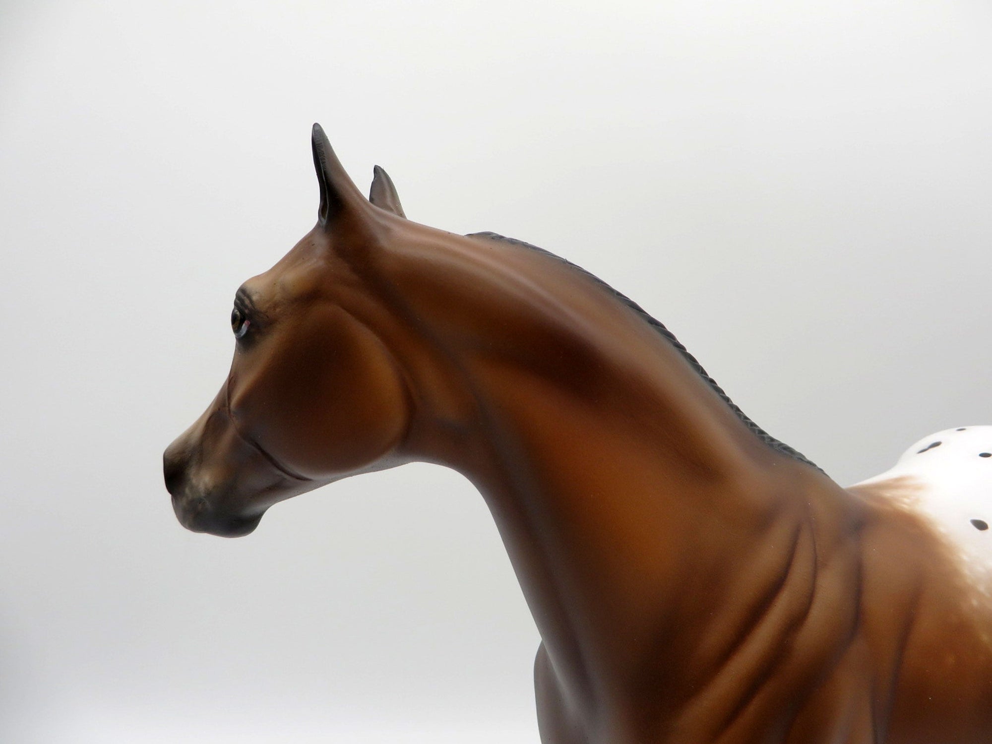 Double Shot-ooak bay appy ish by Sheryl Leisure