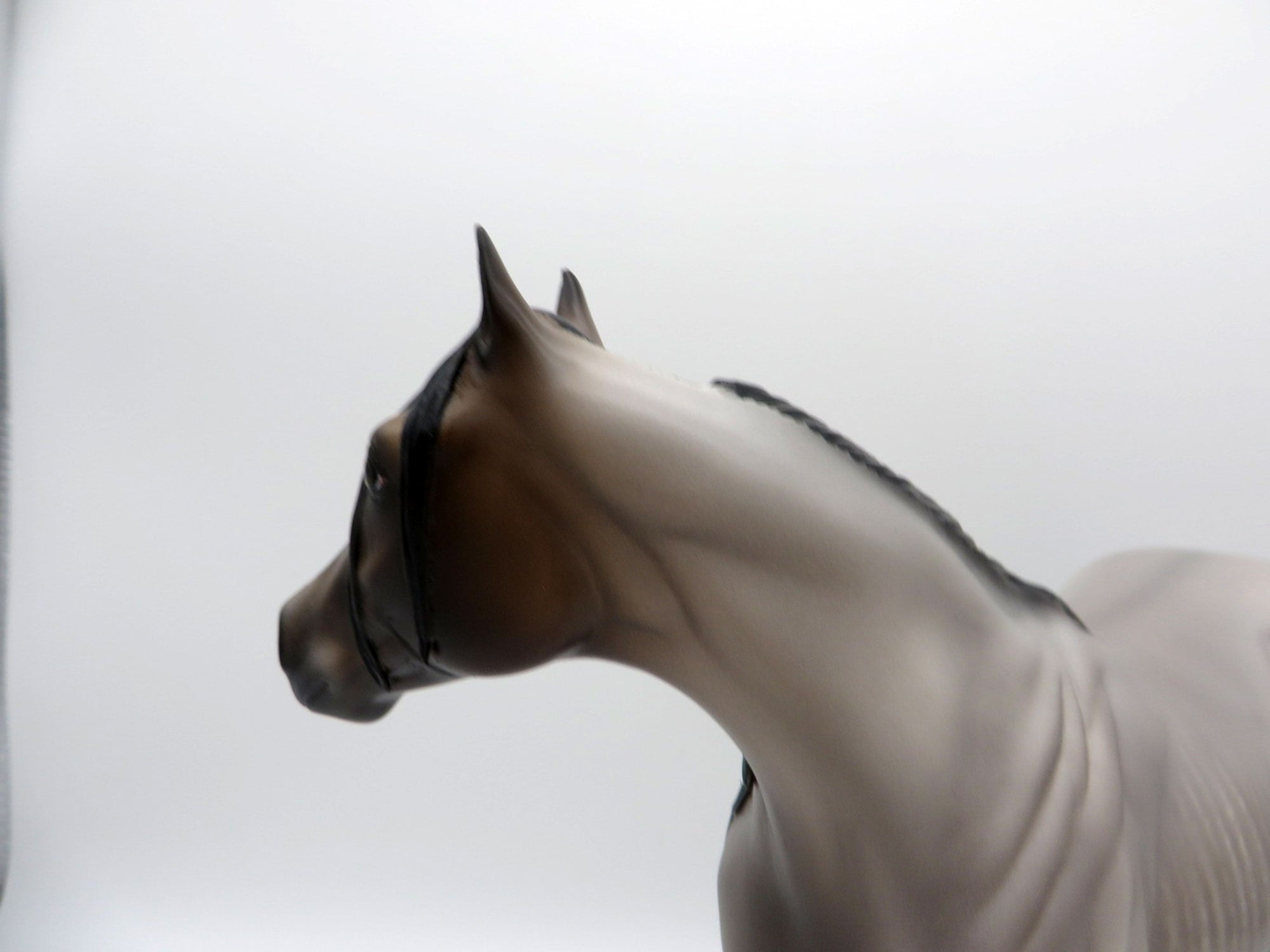 Dover-OOAK Bay Roan ISH Painted by Sheryl Leisure 8/9/21