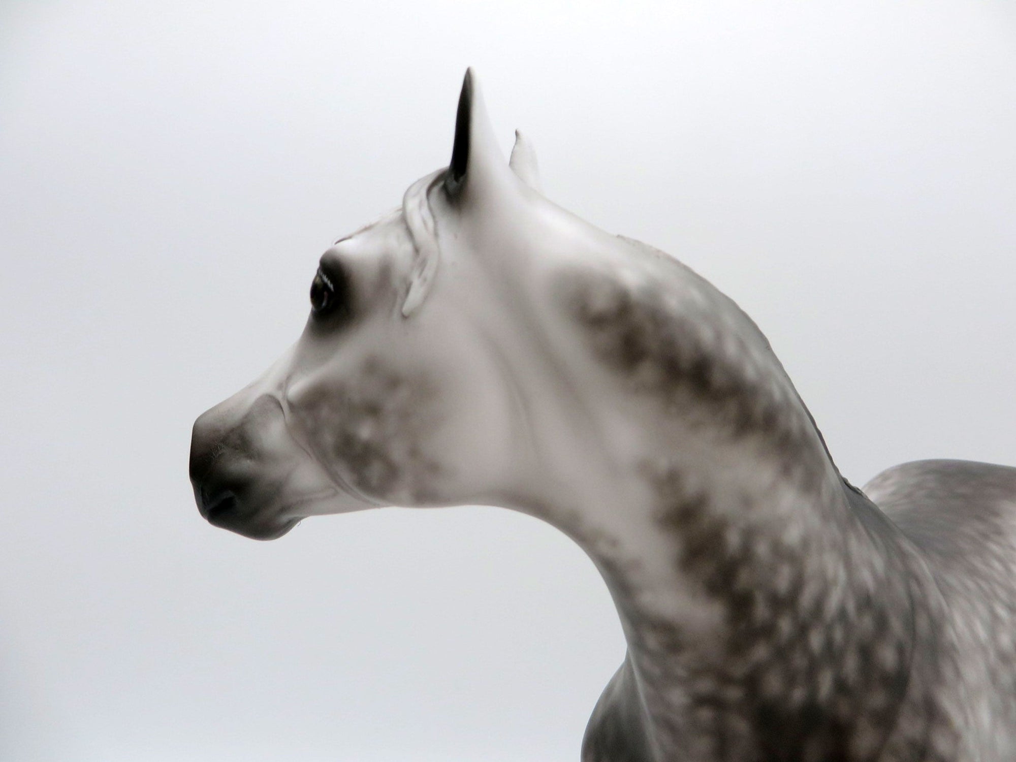 Down to the Sea-OOAK Dapple Grey ISH Painted by Sheryl Leisure 8/1/21