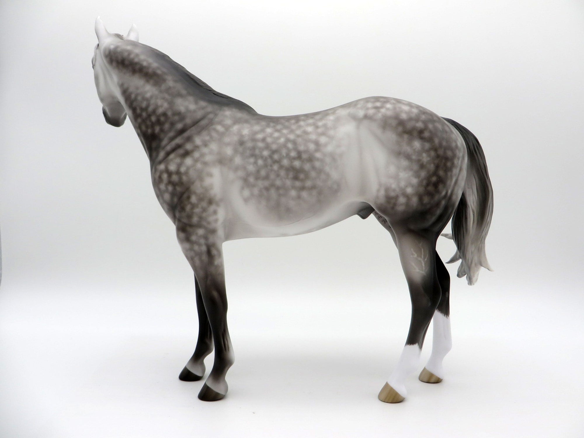 Down to the Sea-OOAK Dapple Grey ISH Painted by Sheryl Leisure 8/1/21