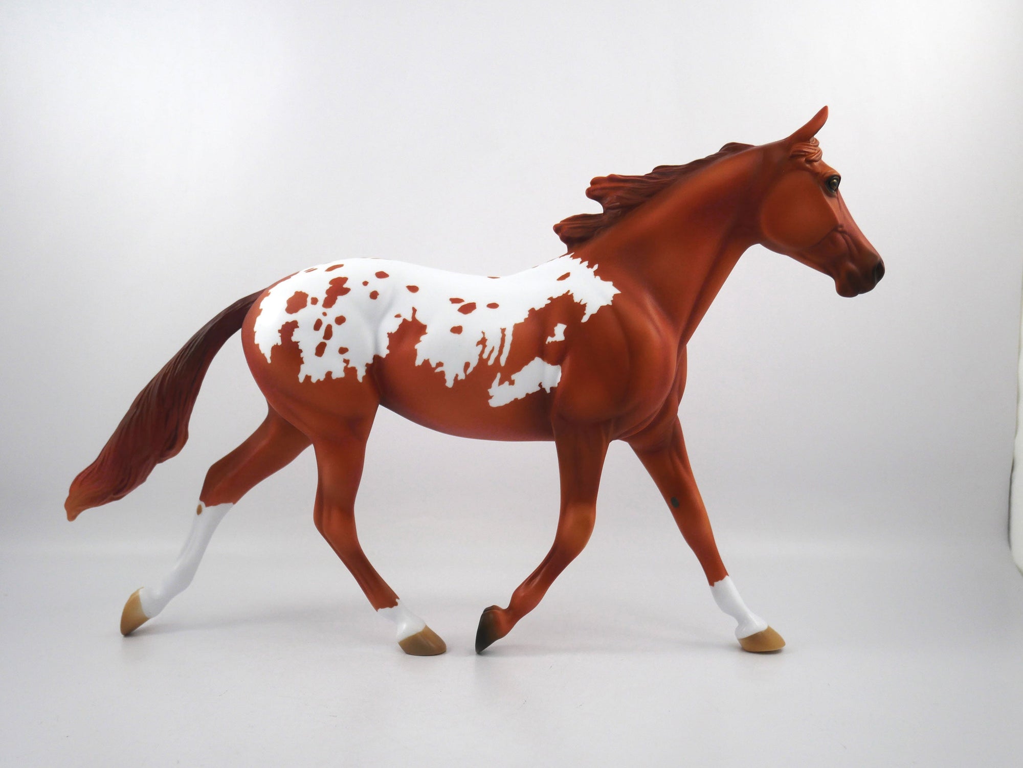 Drafted-OOAK Chestnut Appaloosa Palouse SB21