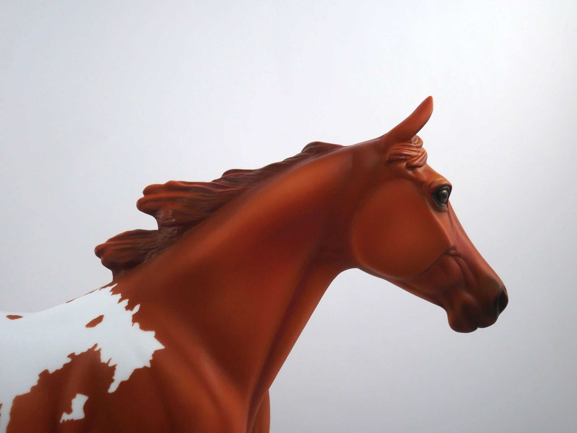 Drafted-OOAK Chestnut Appaloosa Palouse SB21