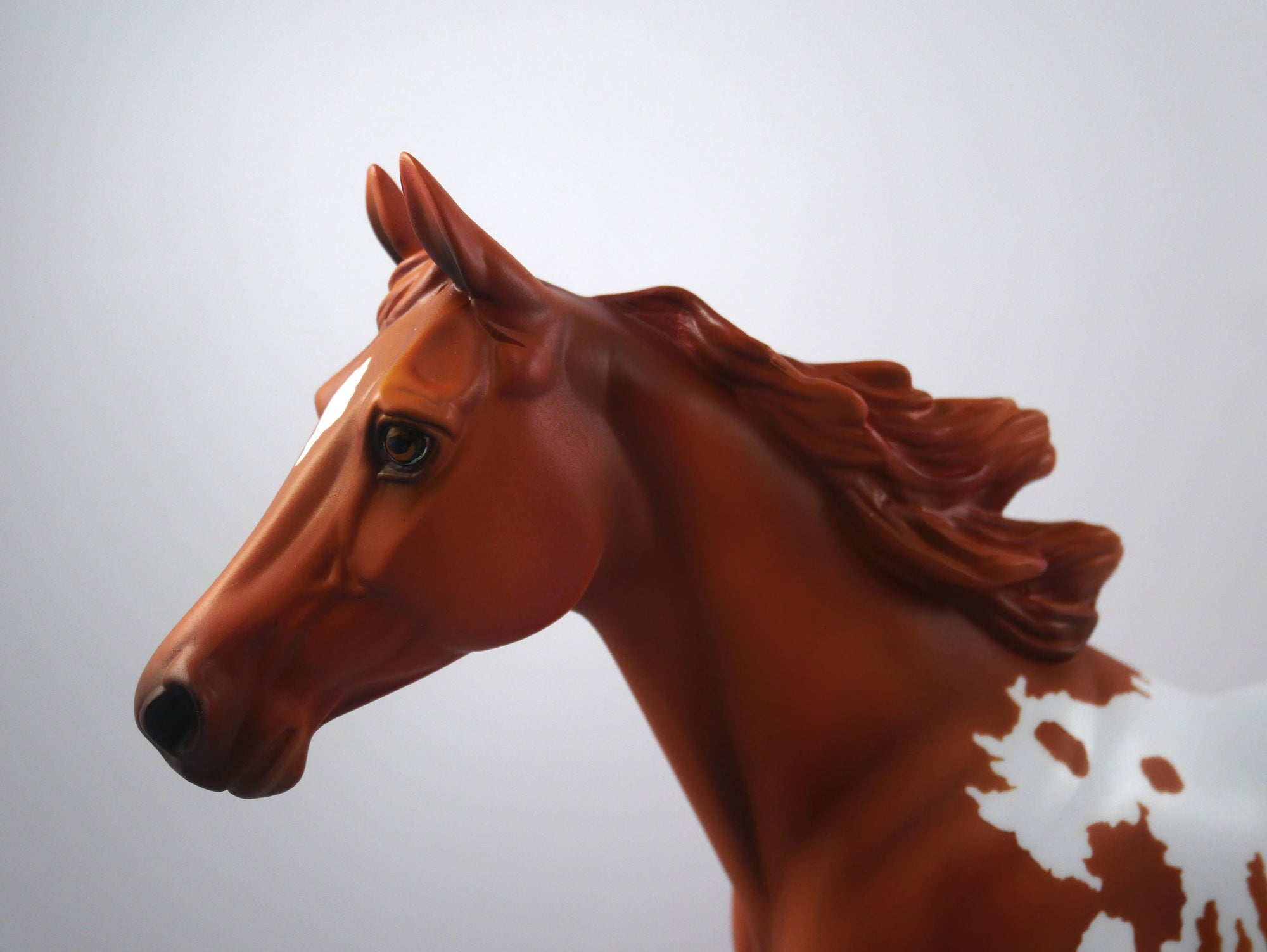 Drafted-OOAK Chestnut Appaloosa Palouse SB21