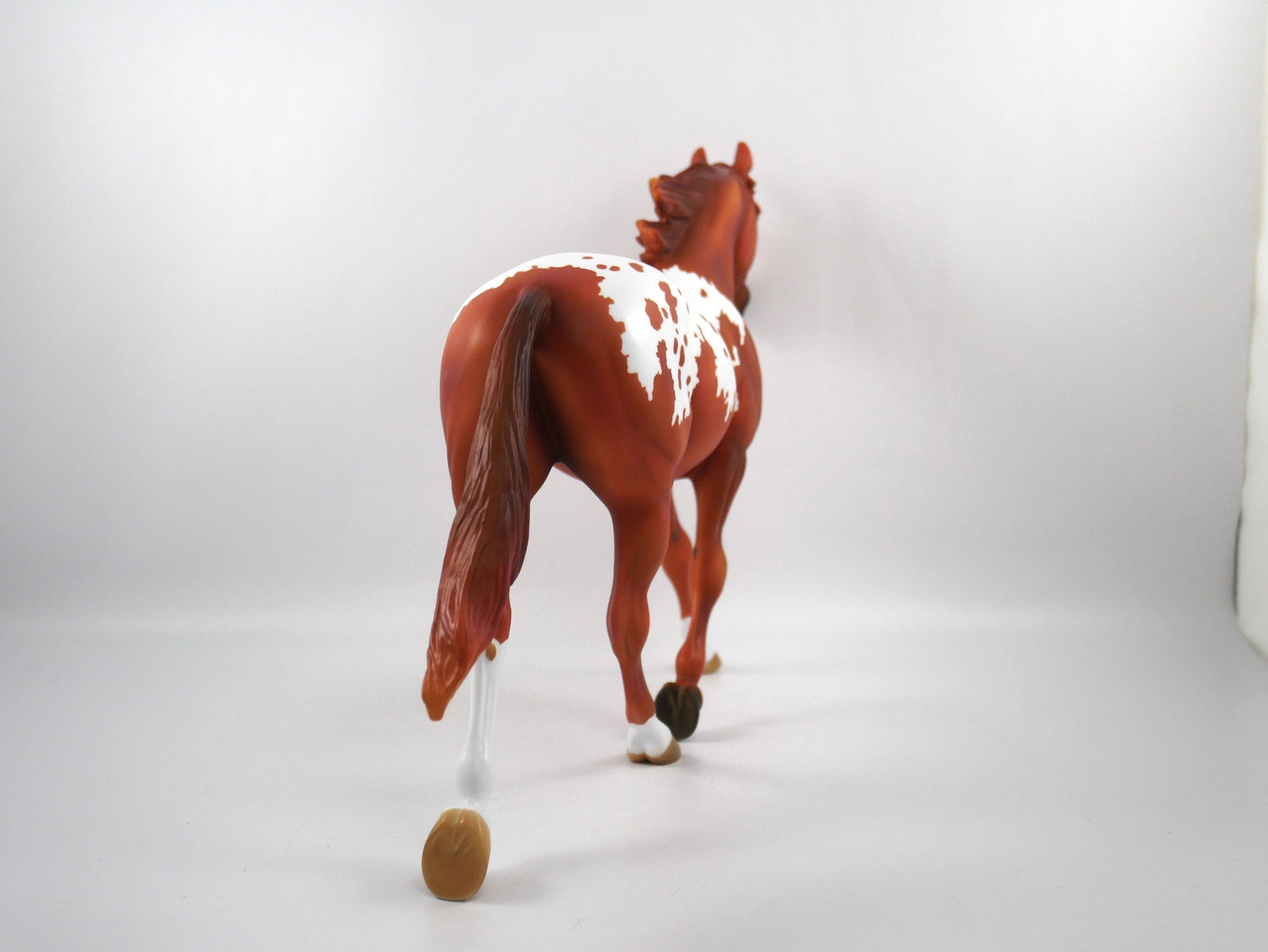 Drafted-OOAK Chestnut Appaloosa Palouse SB21