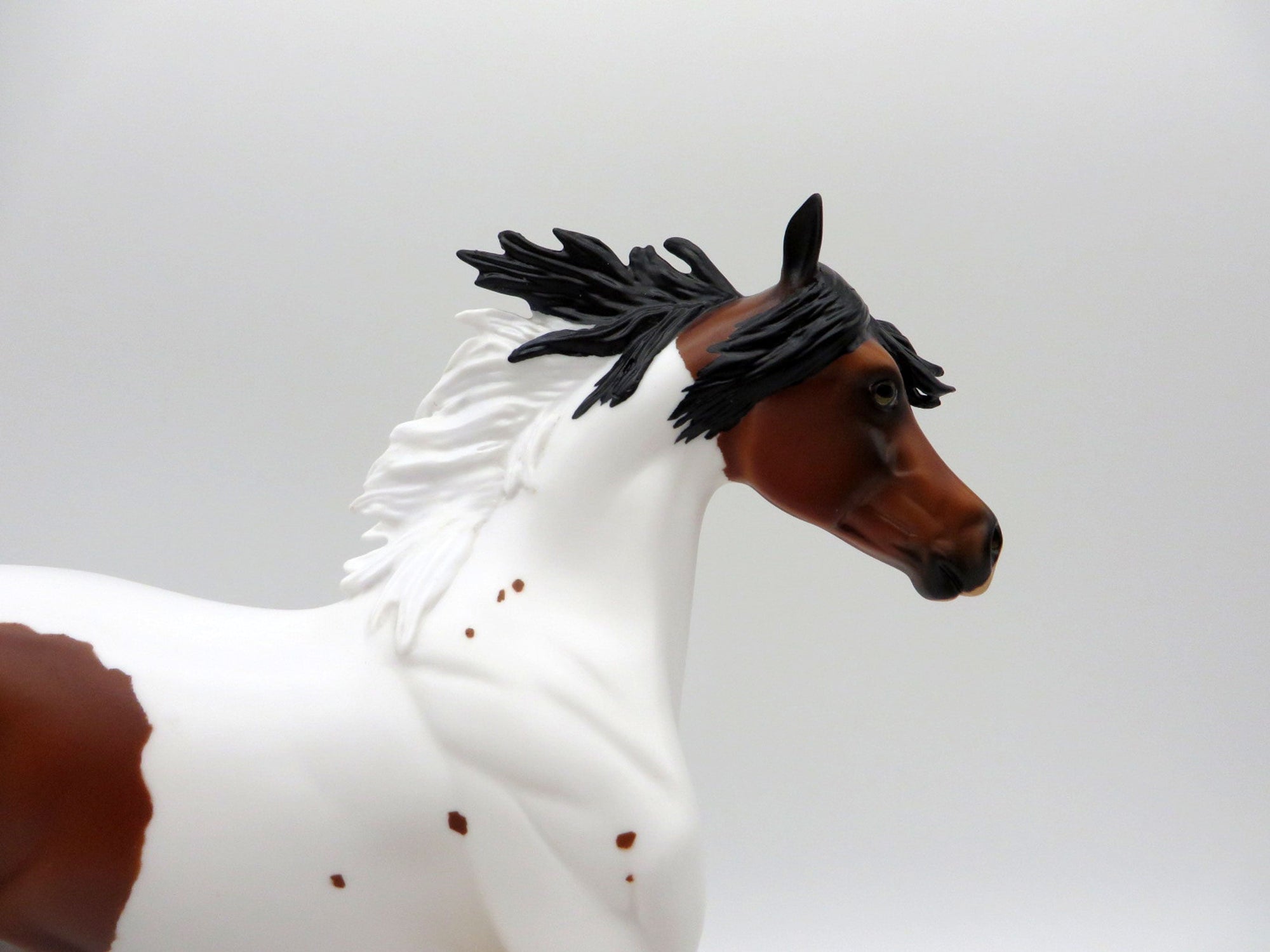 DREAMS OF CHEYENNE-LE-20 Bay Pinto Yearling Painted By Audrey Dixon EQ 21