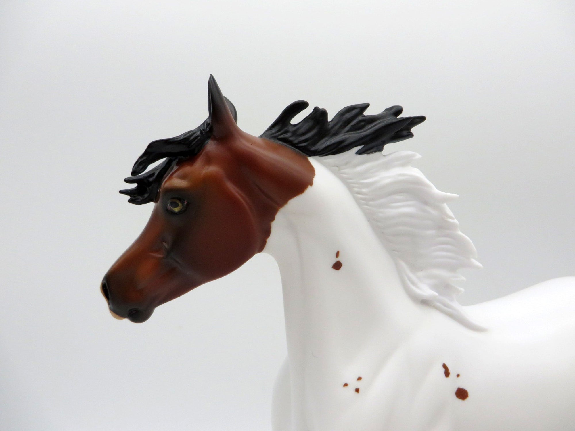 DREAMS OF CHEYENNE-LE-20 Bay Pinto Yearling Painted By Audrey Dixon EQ 21