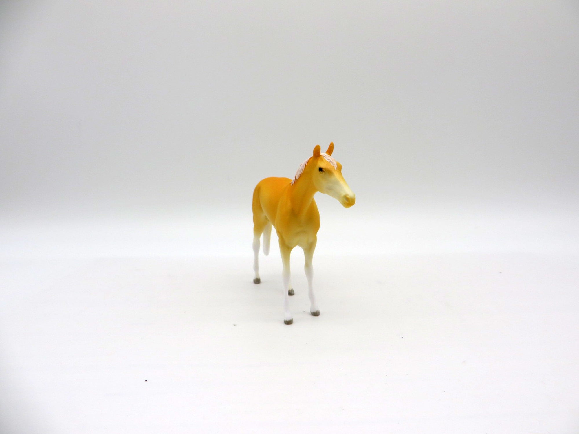 Dreamsicle-OOAK TB Chip Painted By Ellen Robbins  NICM-7/23/21