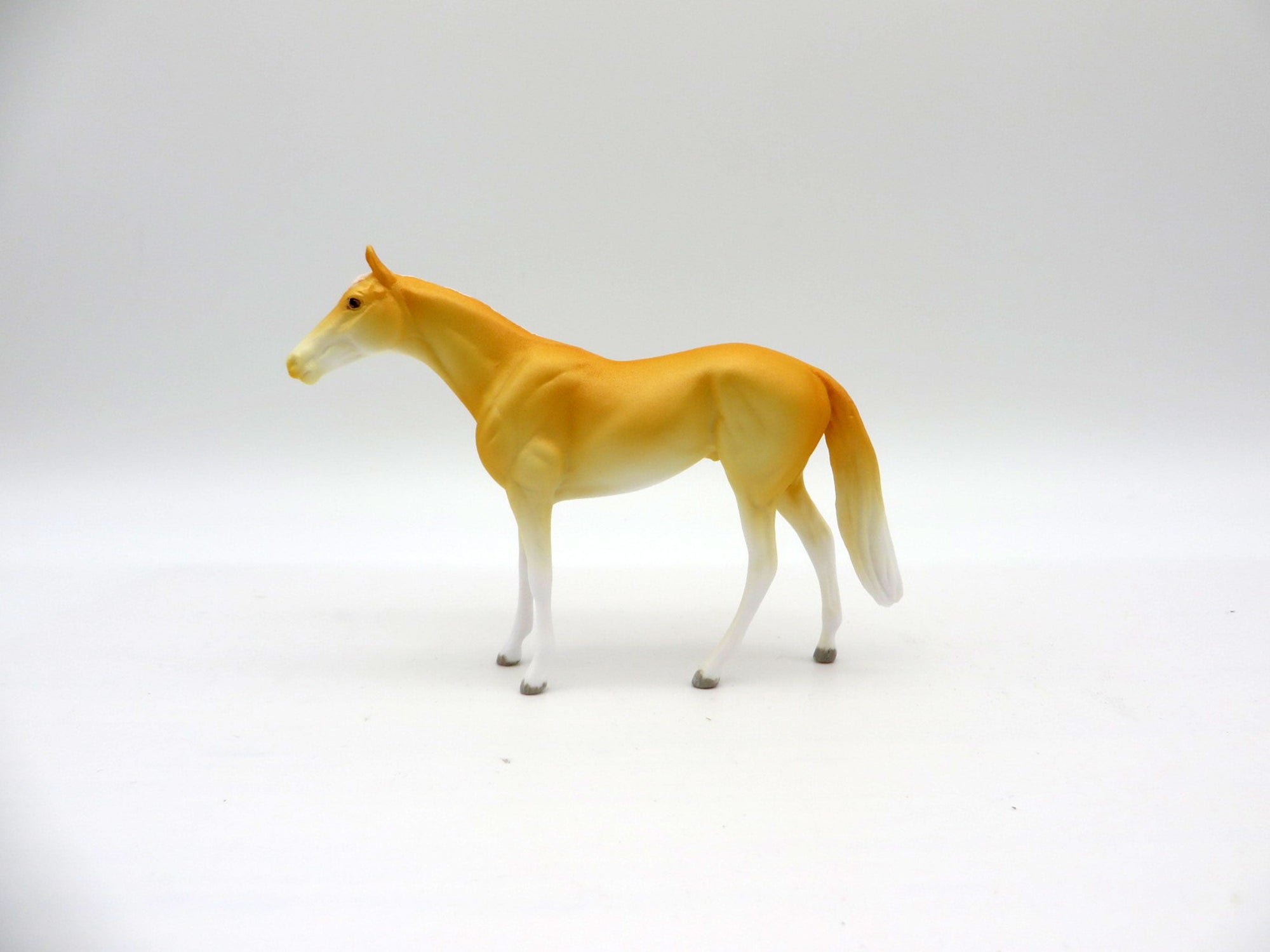 Dreamsicle-OOAK TB Chip Painted By Ellen Robbins  NICM-7/23/21