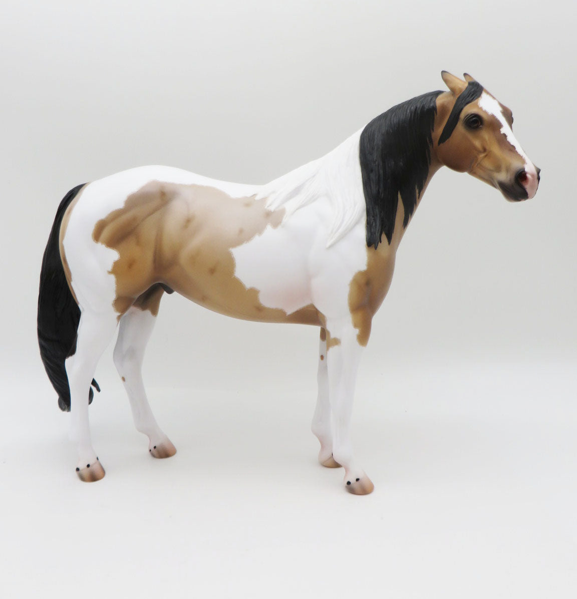 Driscoll - OOAK - Buckskin Roan Tobiano Ideal Stock Horse By Caroline Boydston BEST OFFER 11/21/22