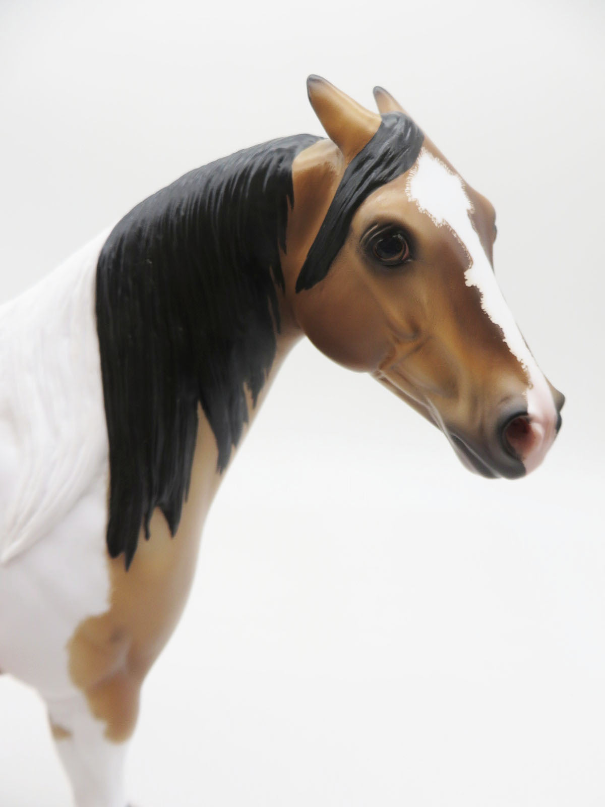 Driscoll - OOAK - Buckskin Roan Tobiano Ideal Stock Horse By Caroline Boydston BEST OFFER 11/21/22