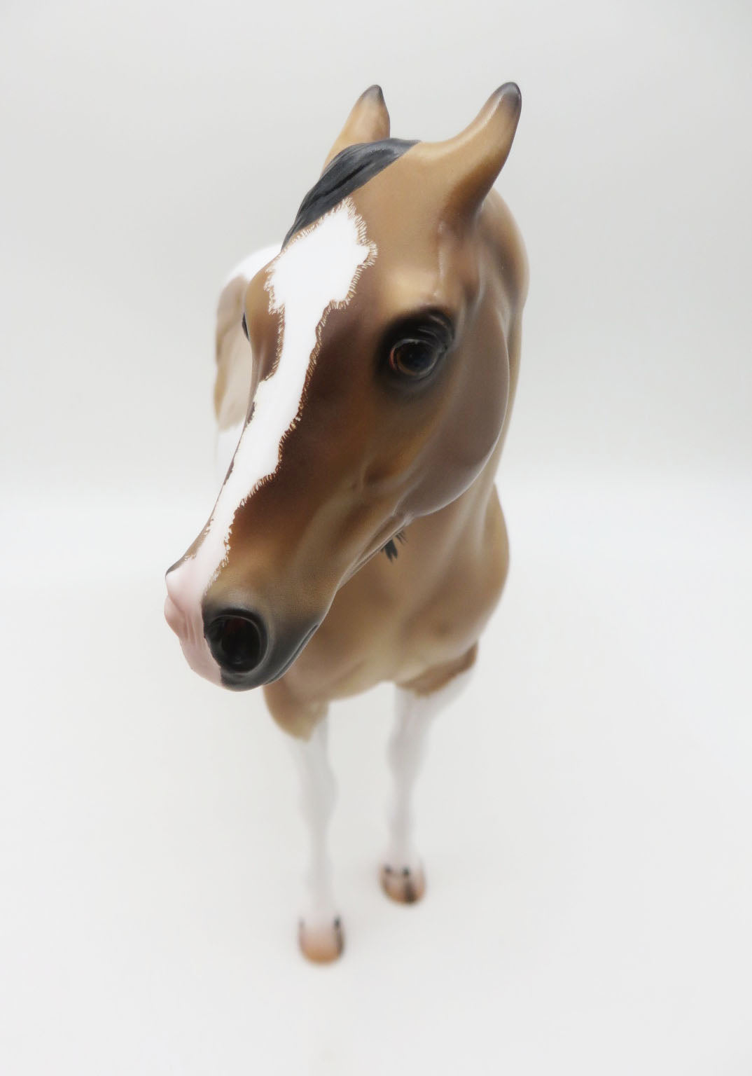 Driscoll - OOAK - Buckskin Roan Tobiano Ideal Stock Horse By Caroline Boydston BEST OFFER 11/21/22