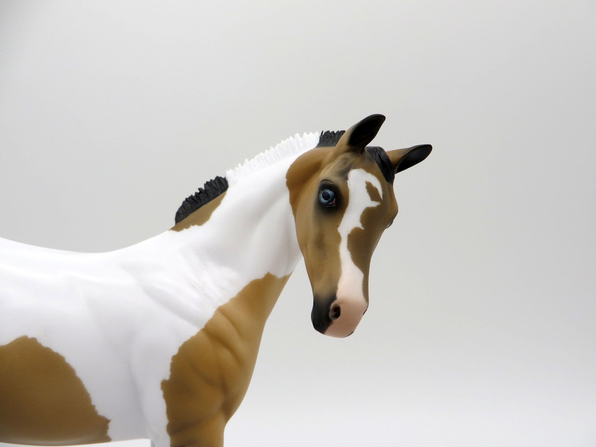 Drizzle-OOAK Buckskin Paint Weanling   SHCF 2021