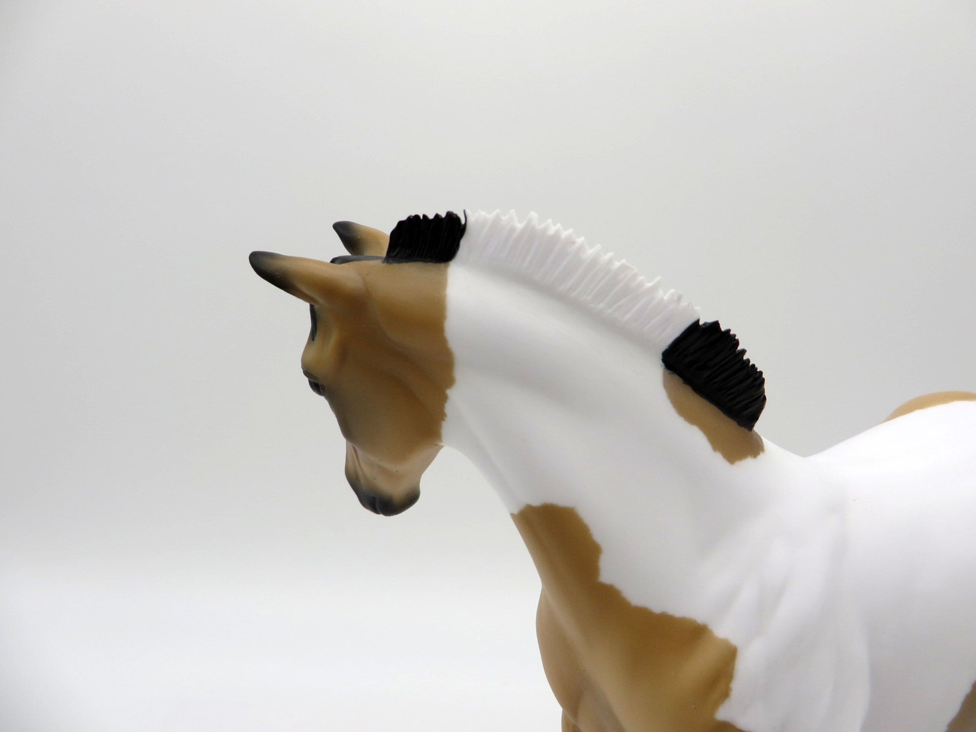 Drizzle-OOAK Buckskin Paint Weanling   SHCF 2021