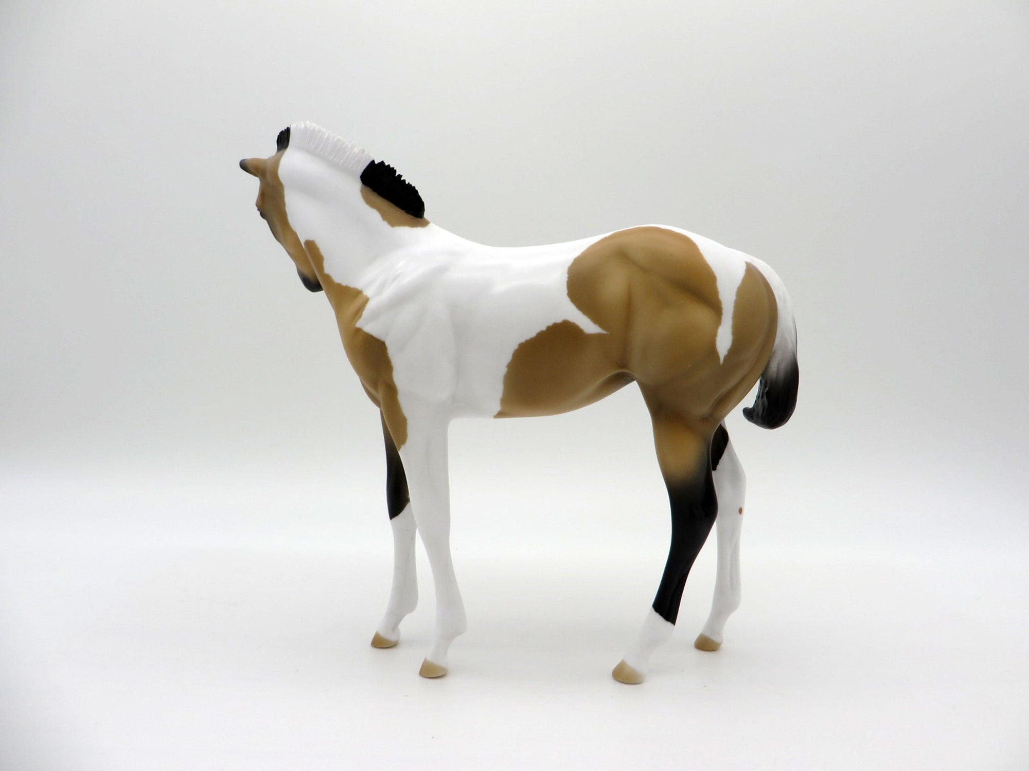 Drizzle-OOAK Buckskin Paint Weanling   SHCF 2021