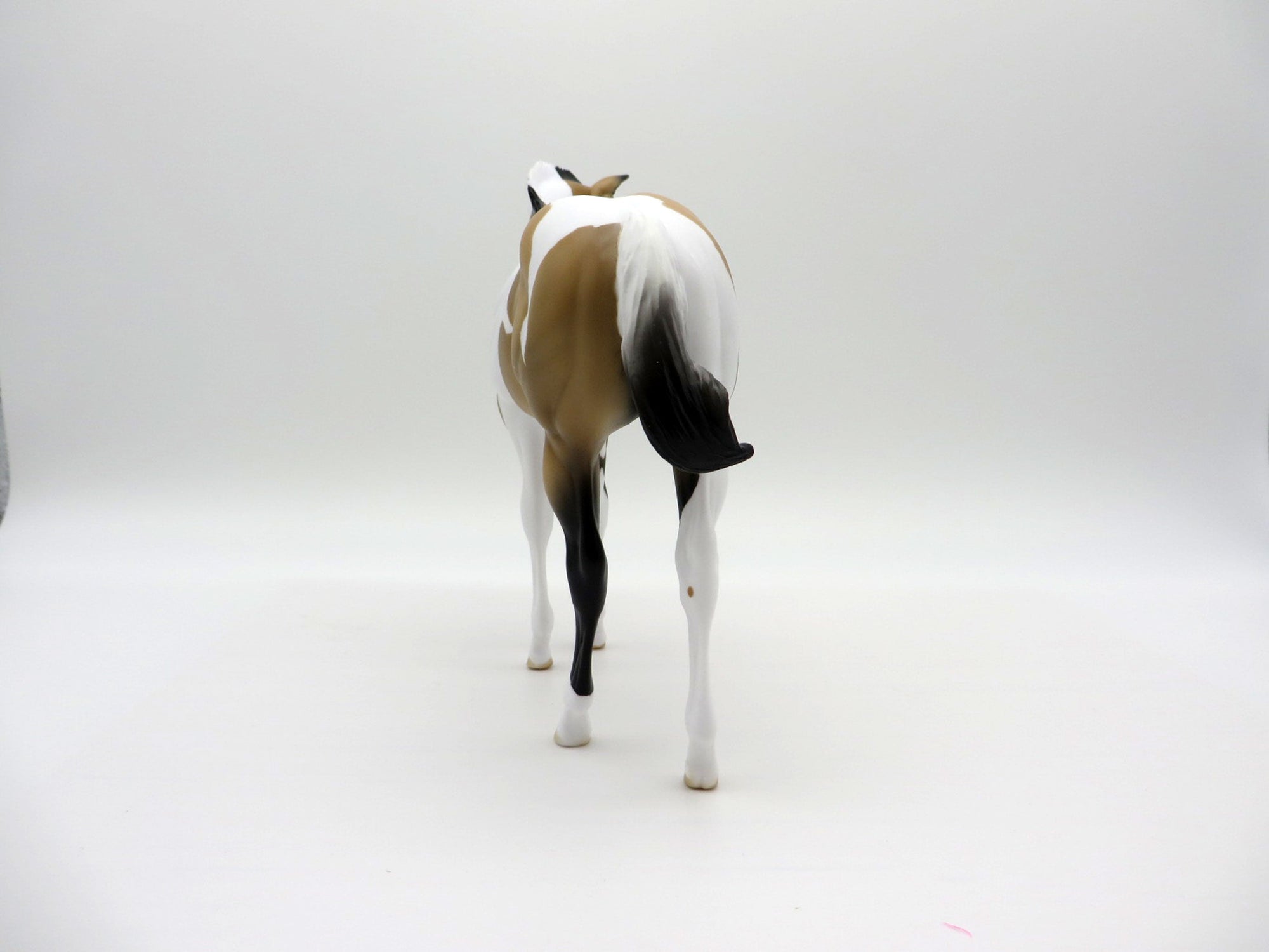 Drizzle-OOAK Buckskin Paint Weanling   SHCF 2021